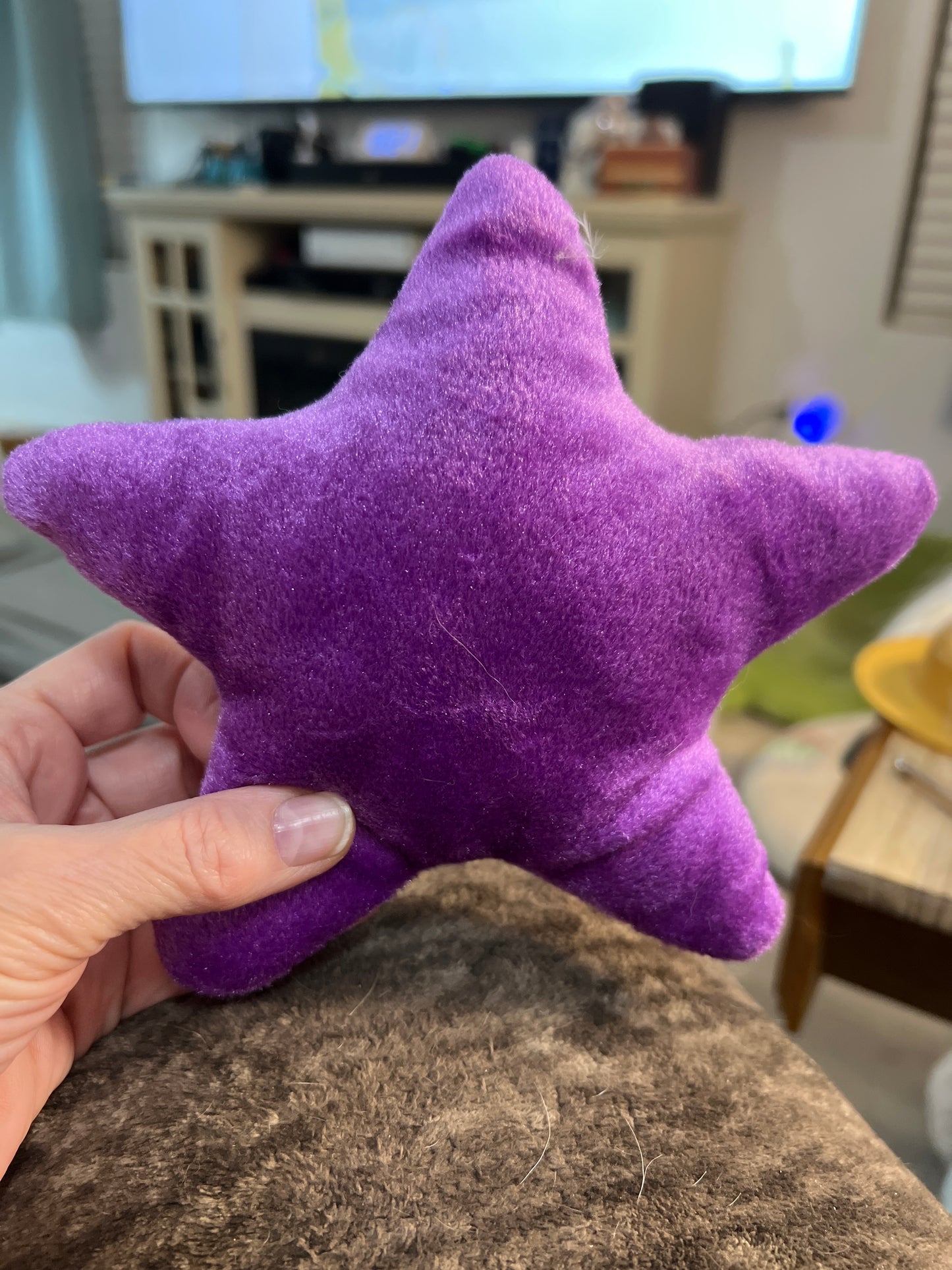 Disney Finding Nemo Dory Purple Star Starfish Plush with smile. small. great condition. Aurora