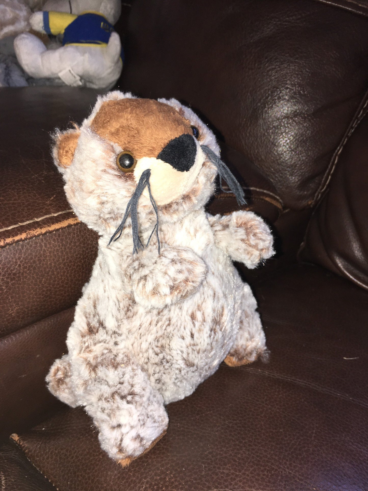 Webkinz Ganz Groundhog Stuffed Animal Plush Toy. No code. Regular Size