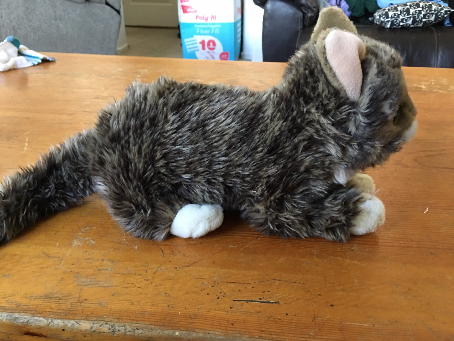 Cuddle Barn Lil Bub Adorable Kitten Cat Plush Toy