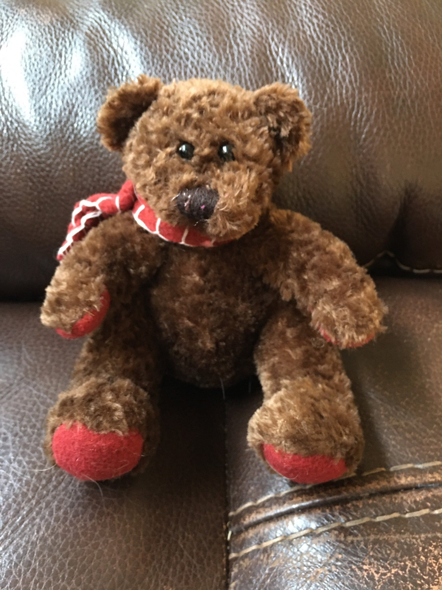 Dark Brown Teddy Bear Plush with Red Scarf and Feet