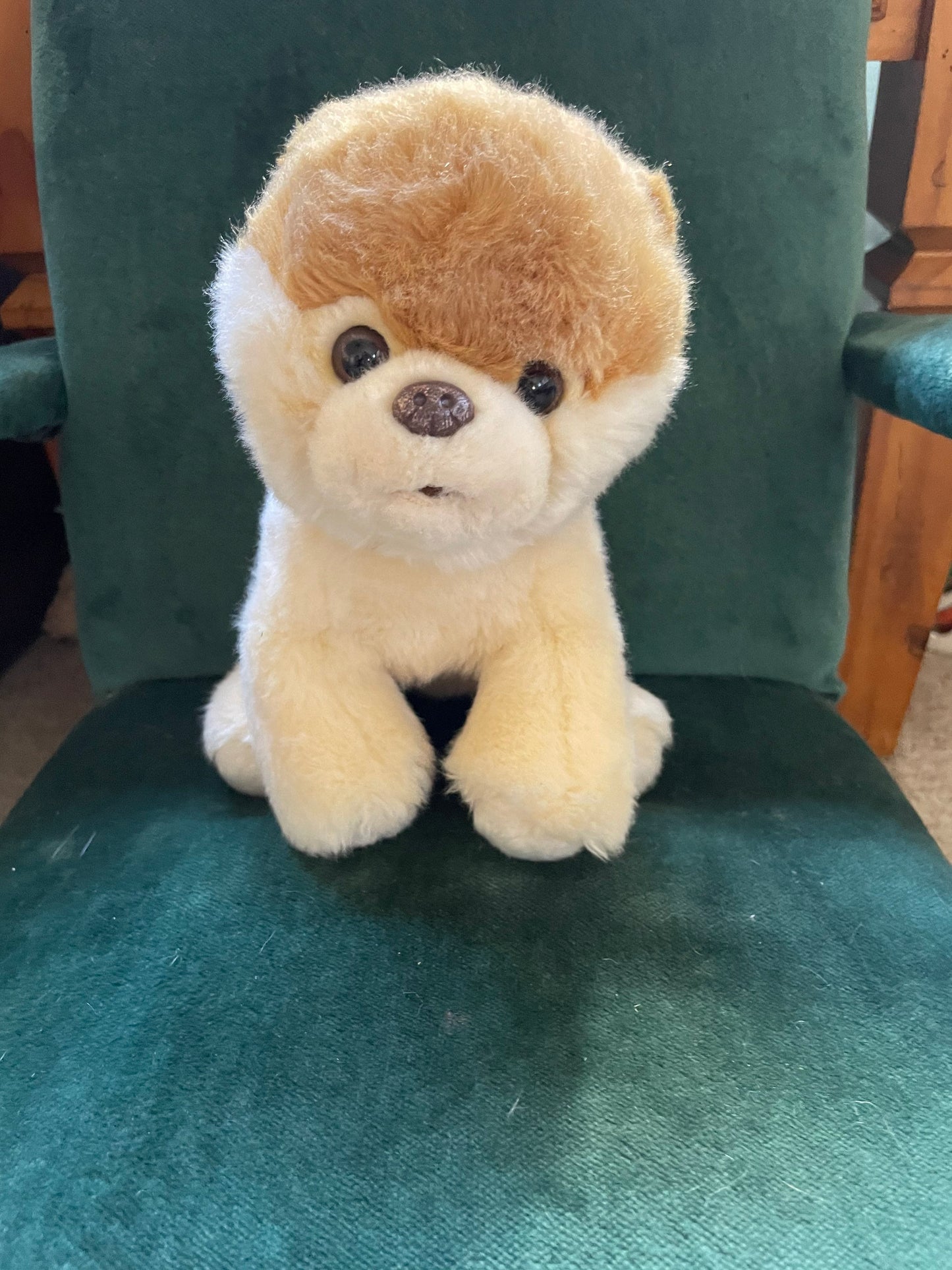 Gund Boo the Pomeranian Plush. Excellent Condition