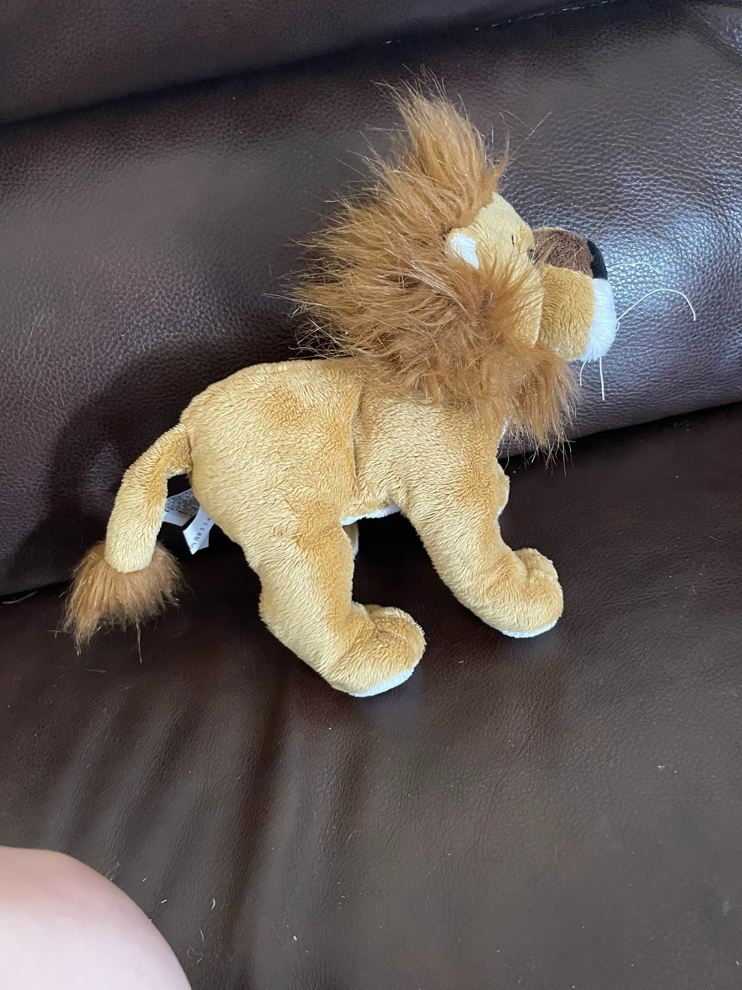 Webkinz Male Lion Plush. No code. Excellent Condition