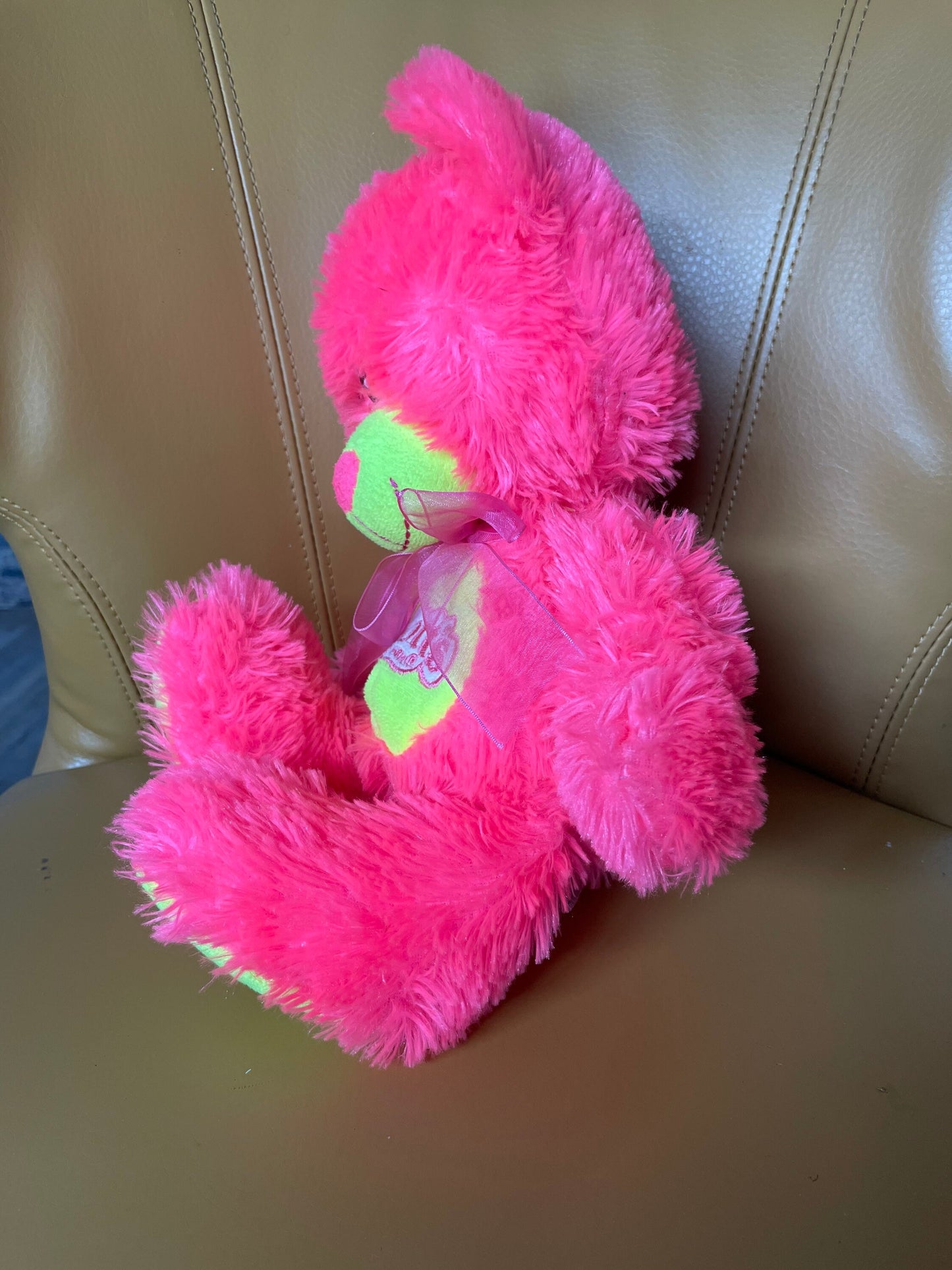 Knott’s Berry Farm Pink Teddy Bear
