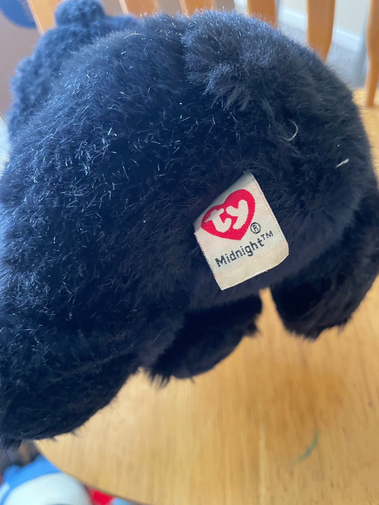 Ty Wild Wild Best Midnight Black Bear - Rare and HTF