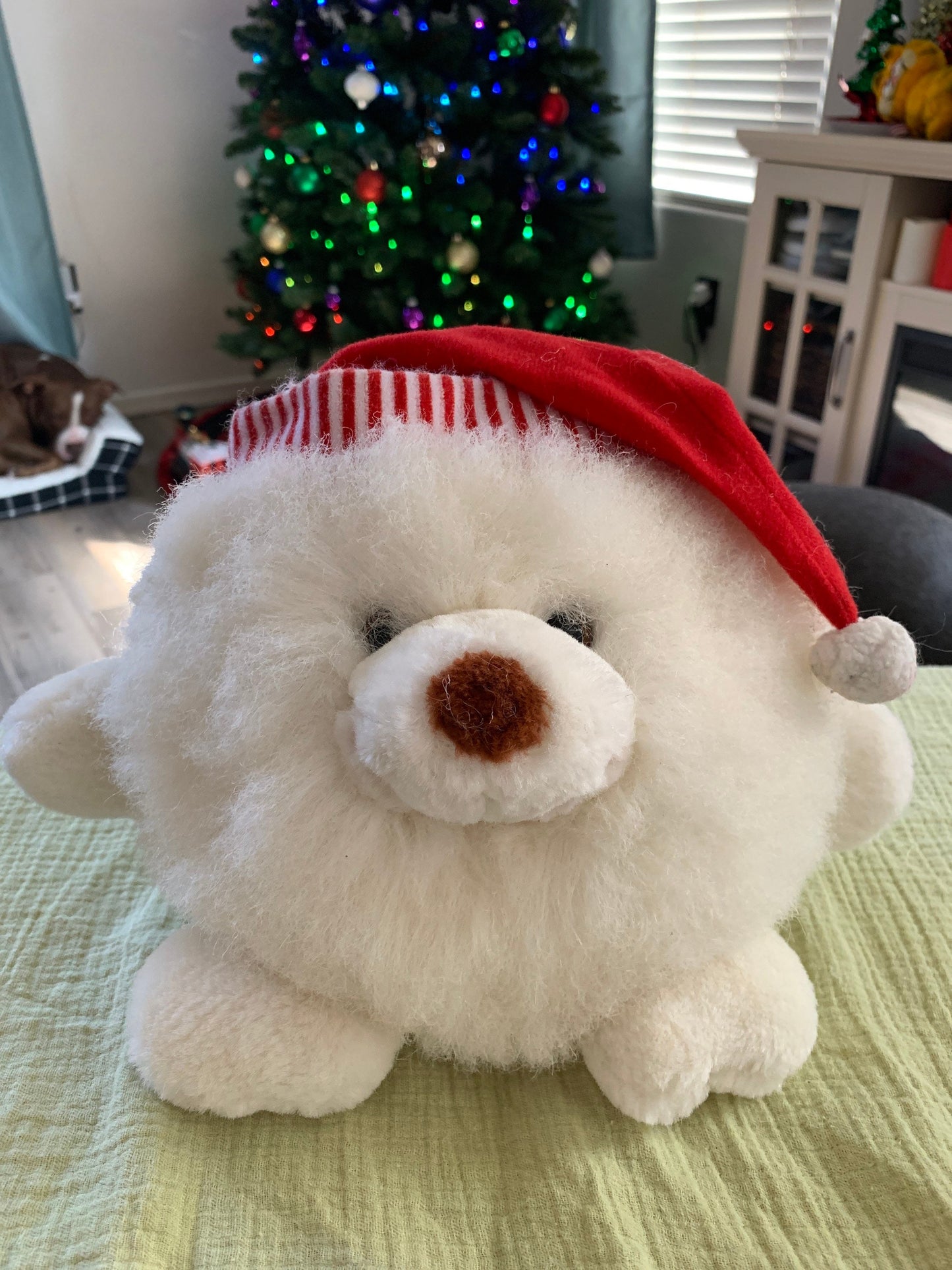 Commonwealth adventures of mistletoe snow bear. Candy cane stripped hat.