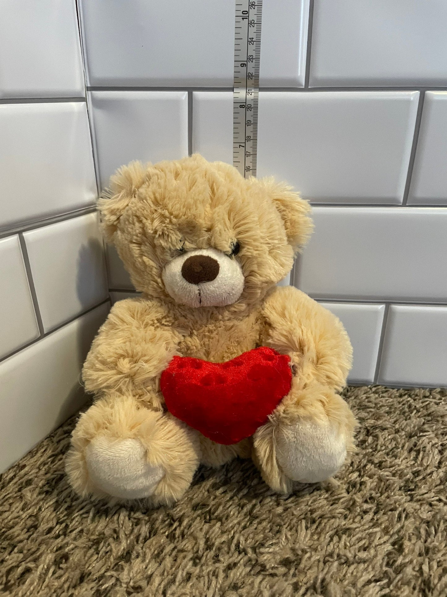 Small Teddy bear holding heart plush