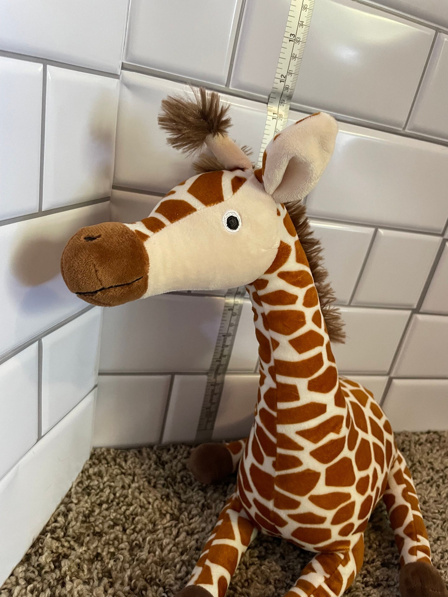Kohls Cares Stuffed Giraffe Giraffe Problems Book