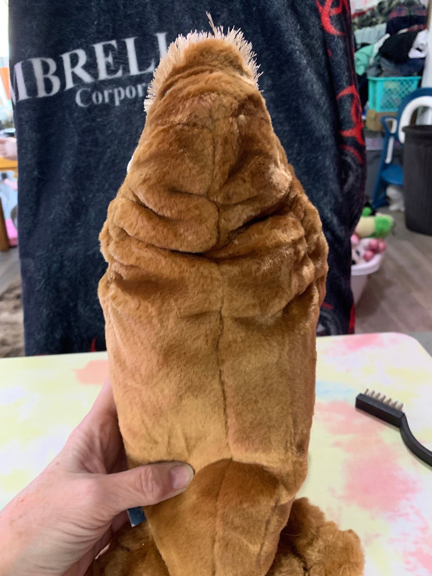 Starbucks Arctic Tale Walrus plush NWT