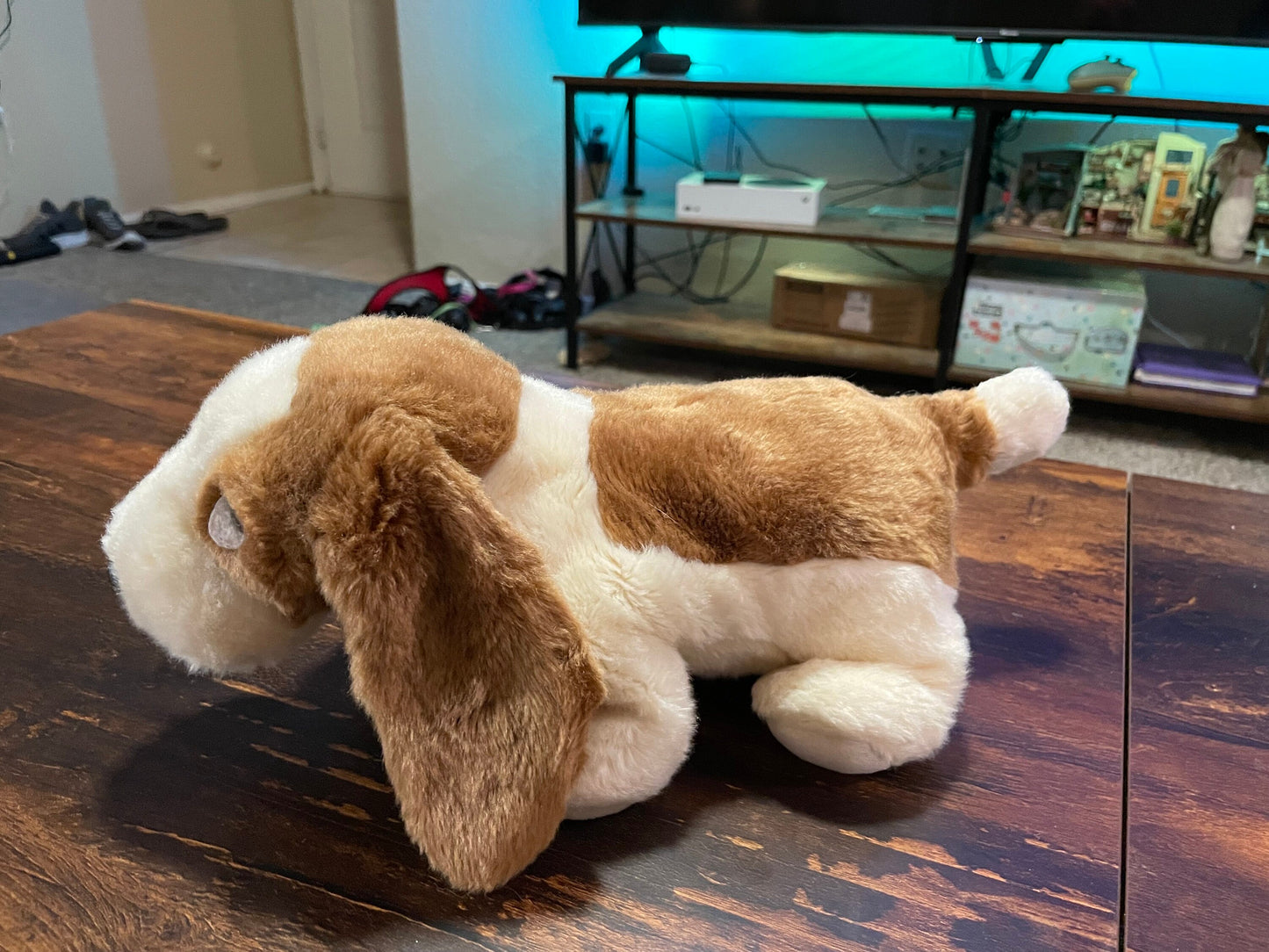 TY tracker the basset hound plush - rare and HTF!