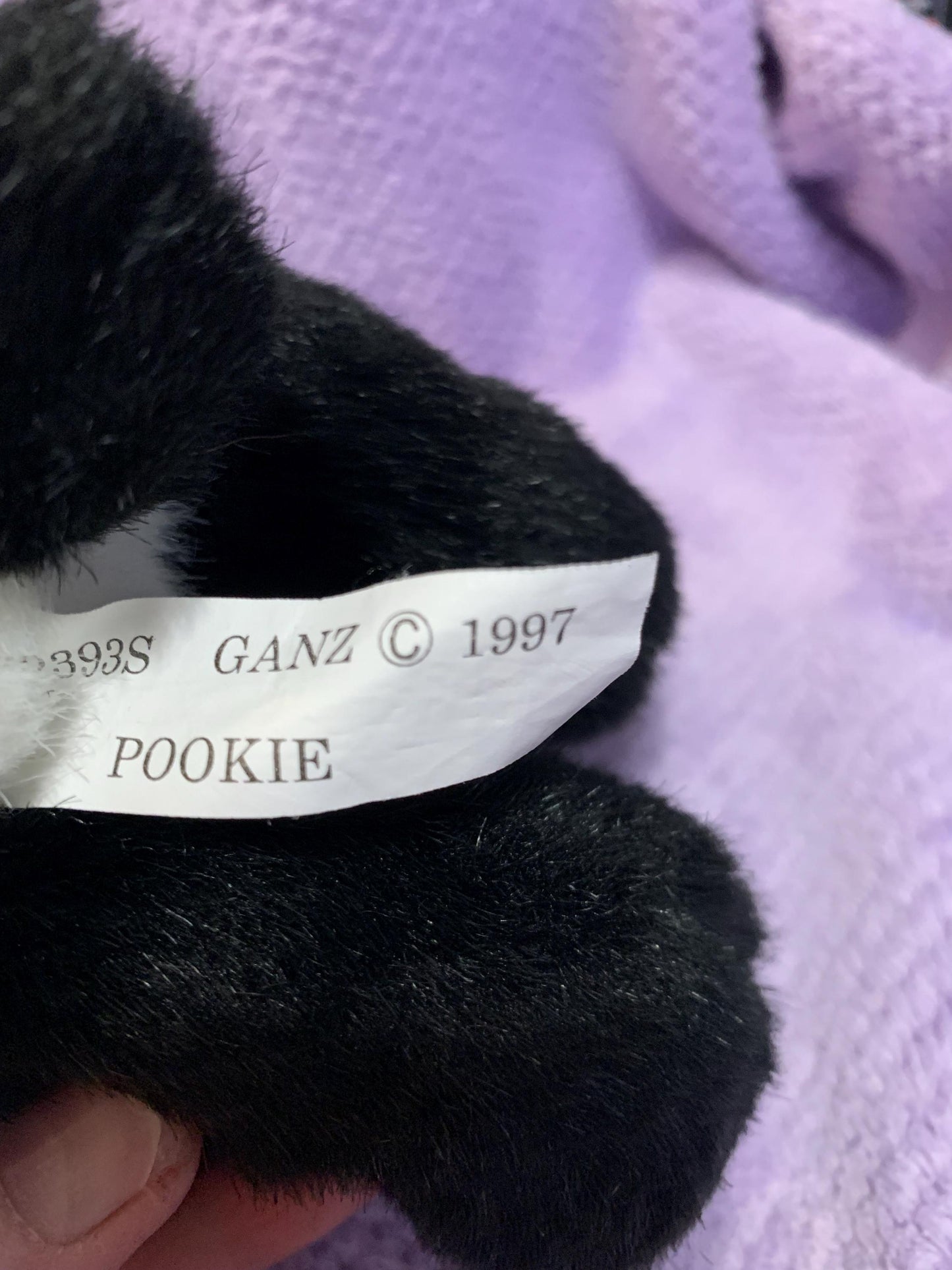 Ganz Pookie Panda Plush, Red Heart Ribbon, 1997