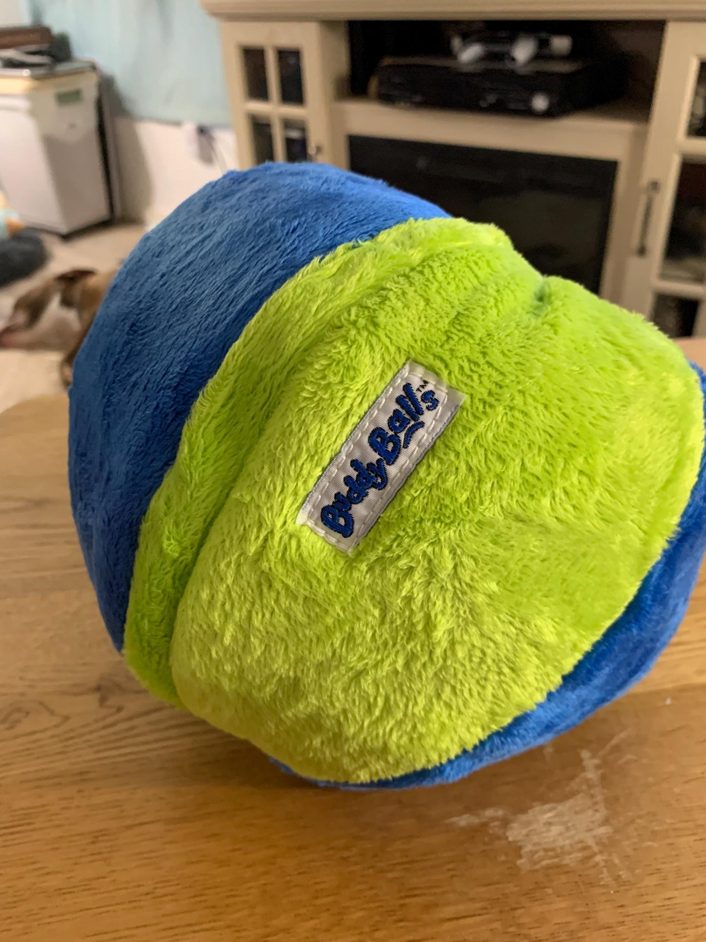 Buddy Balls Sam Brown Teddy Bear Green and Blue Beach Ball Plush