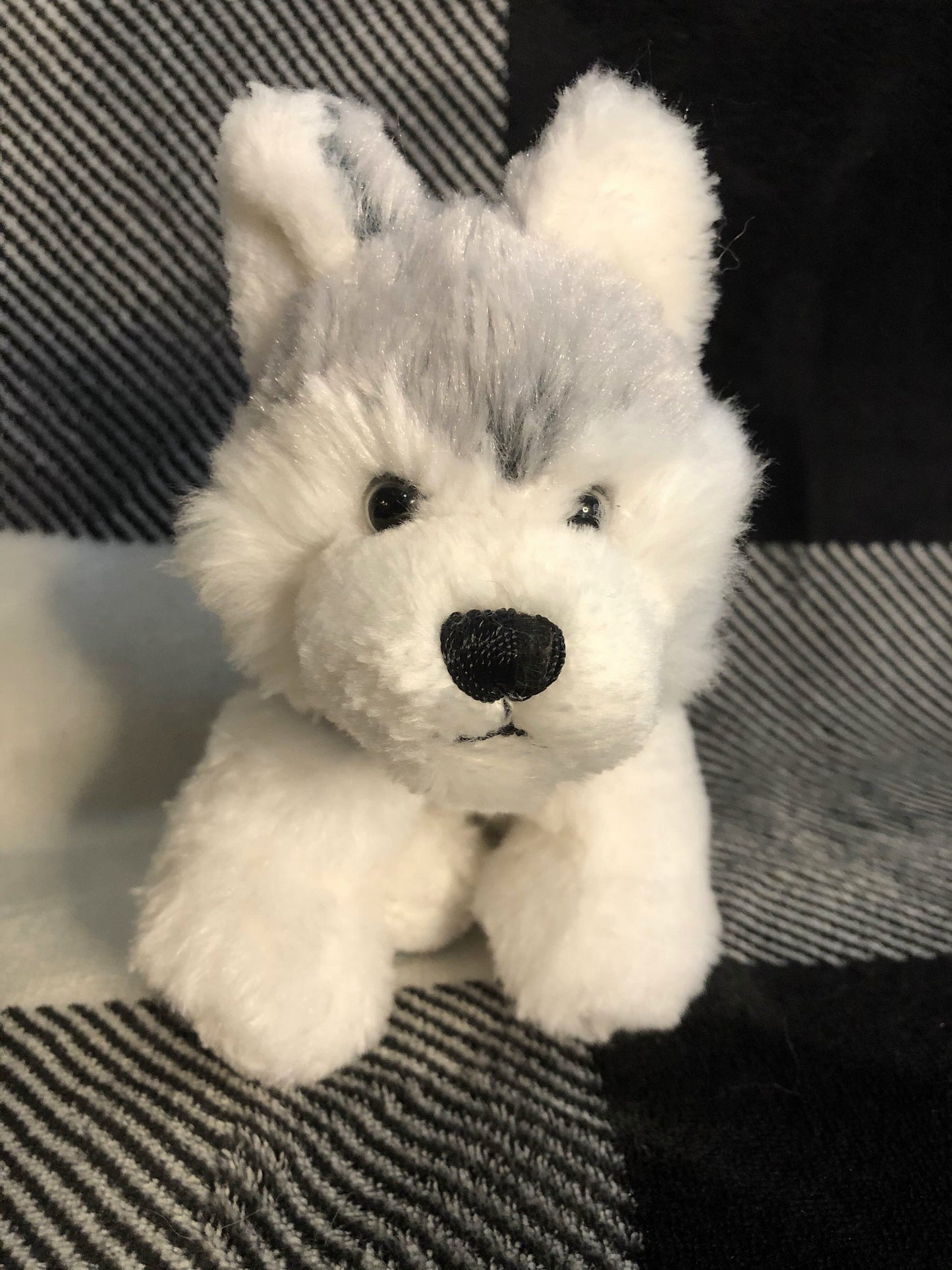 Webkinz Gray and White Lil Kinz Husky Dog Plush Stuffed Animal. No Code