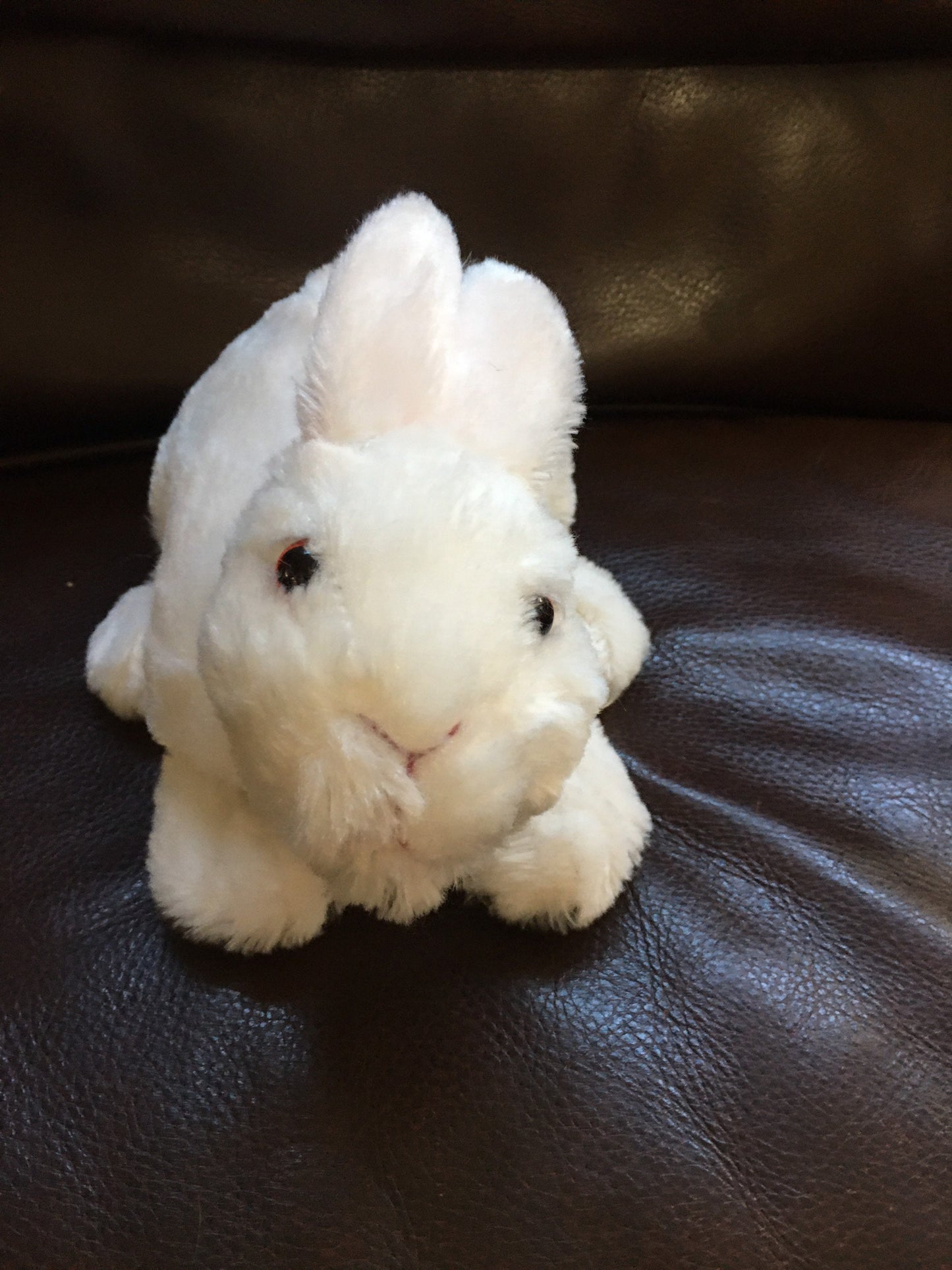 White Plush Bunny Rabbit, Pink Ears