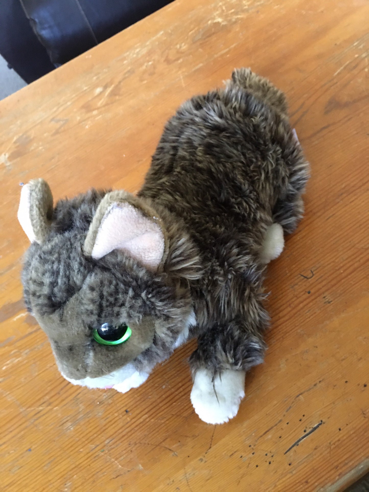 Cuddle Barn Lil Bub Adorable Kitten Cat Plush Toy