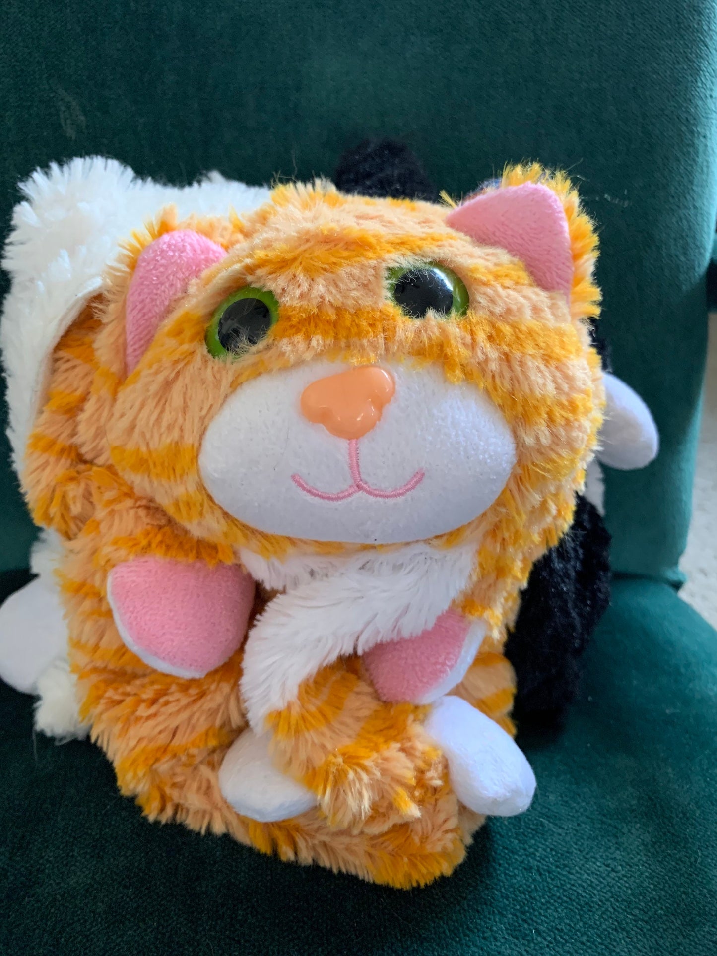 Pop out Pets 3 Cat Plush