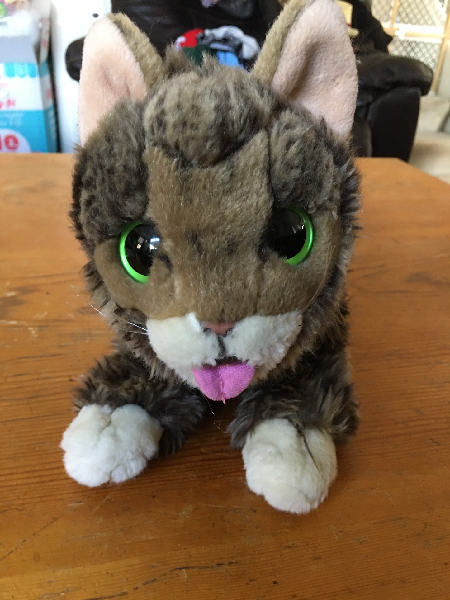 Cuddle Barn Lil Bub Adorable Kitten Cat Plush Toy