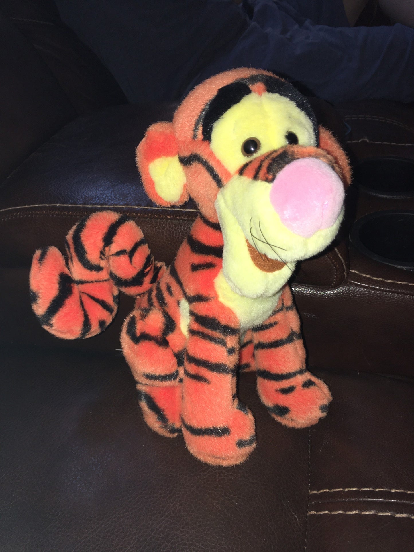 Disney Disneyland Winnie the Pooh Tigger Plush Stuffed Animal Plush Toy Vintage For Kids