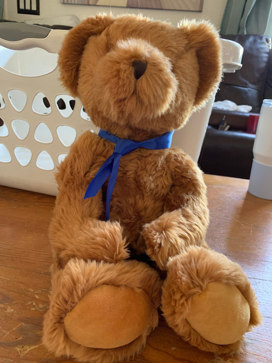 Russ Berrie Plush Brown Bear, Ritz Camera Exclusive