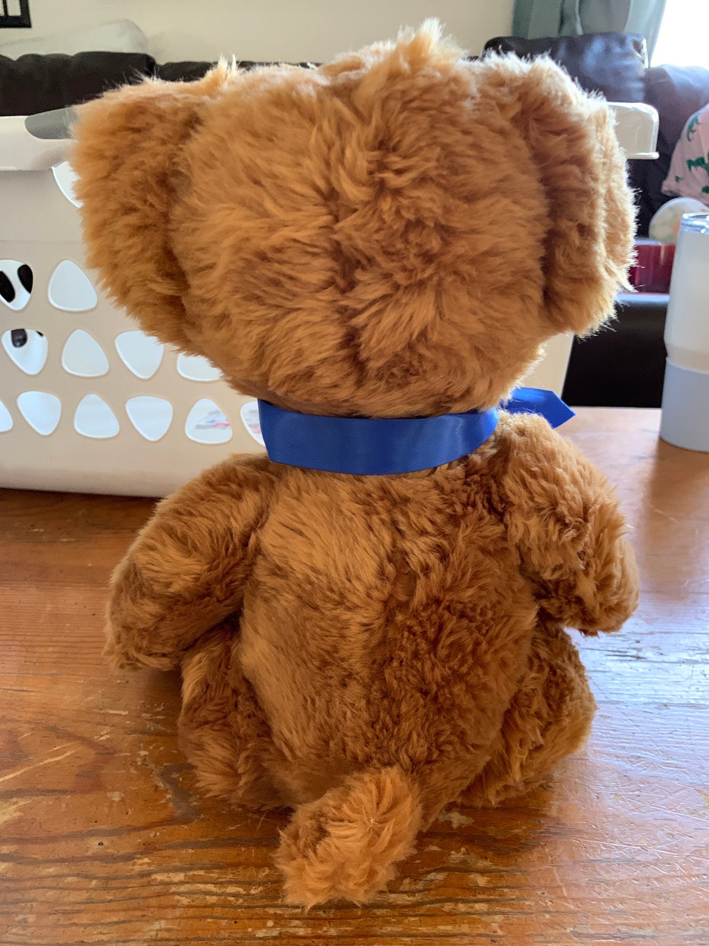 Russ Berrie Plush Brown Bear, Ritz Camera Exclusive