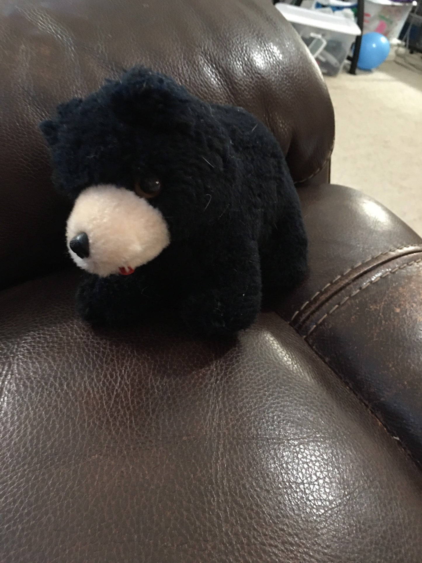 Dakin Black Bear Teddy Bear Plush.