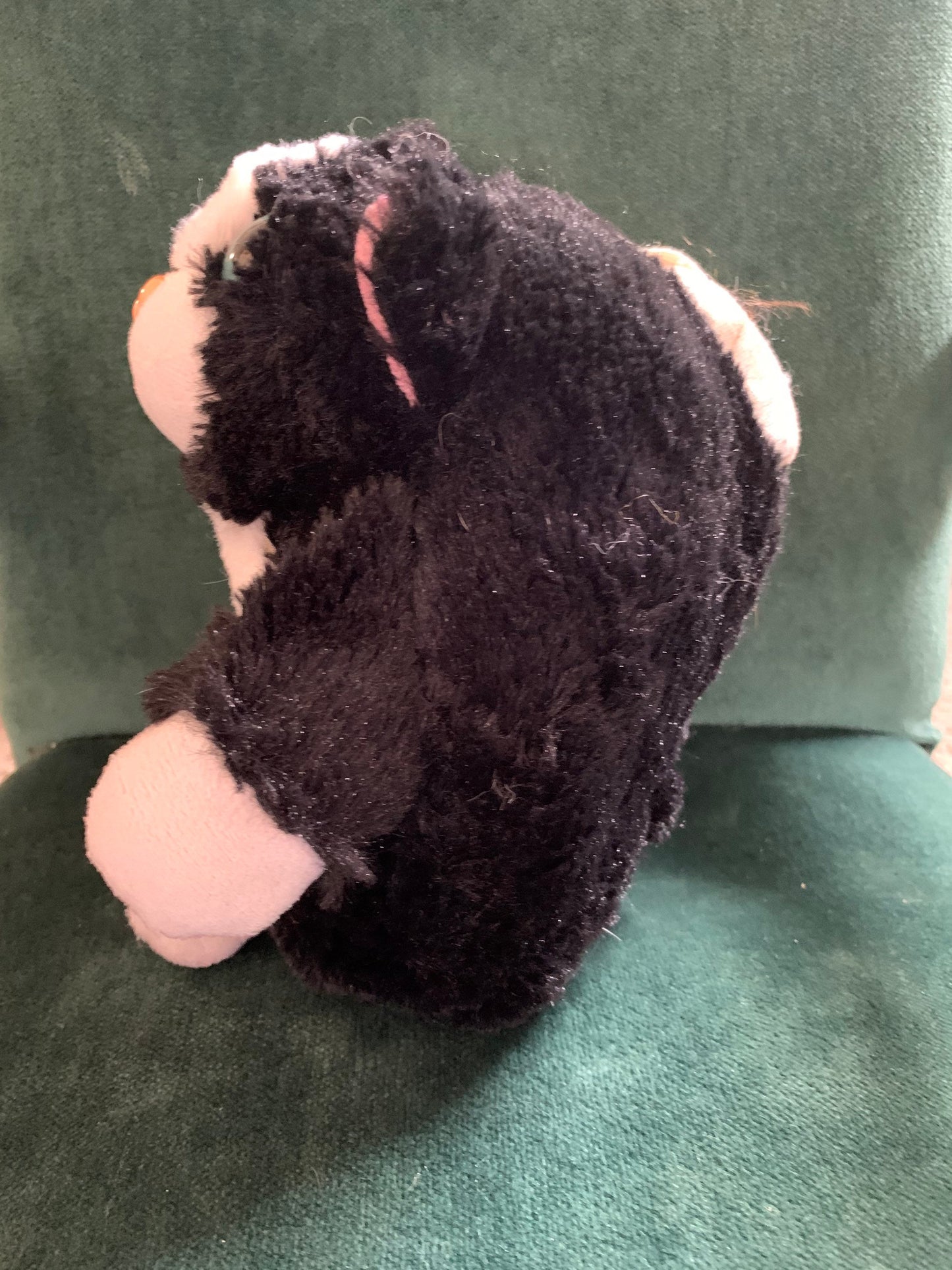 Pop out Pets 3 Cat Plush