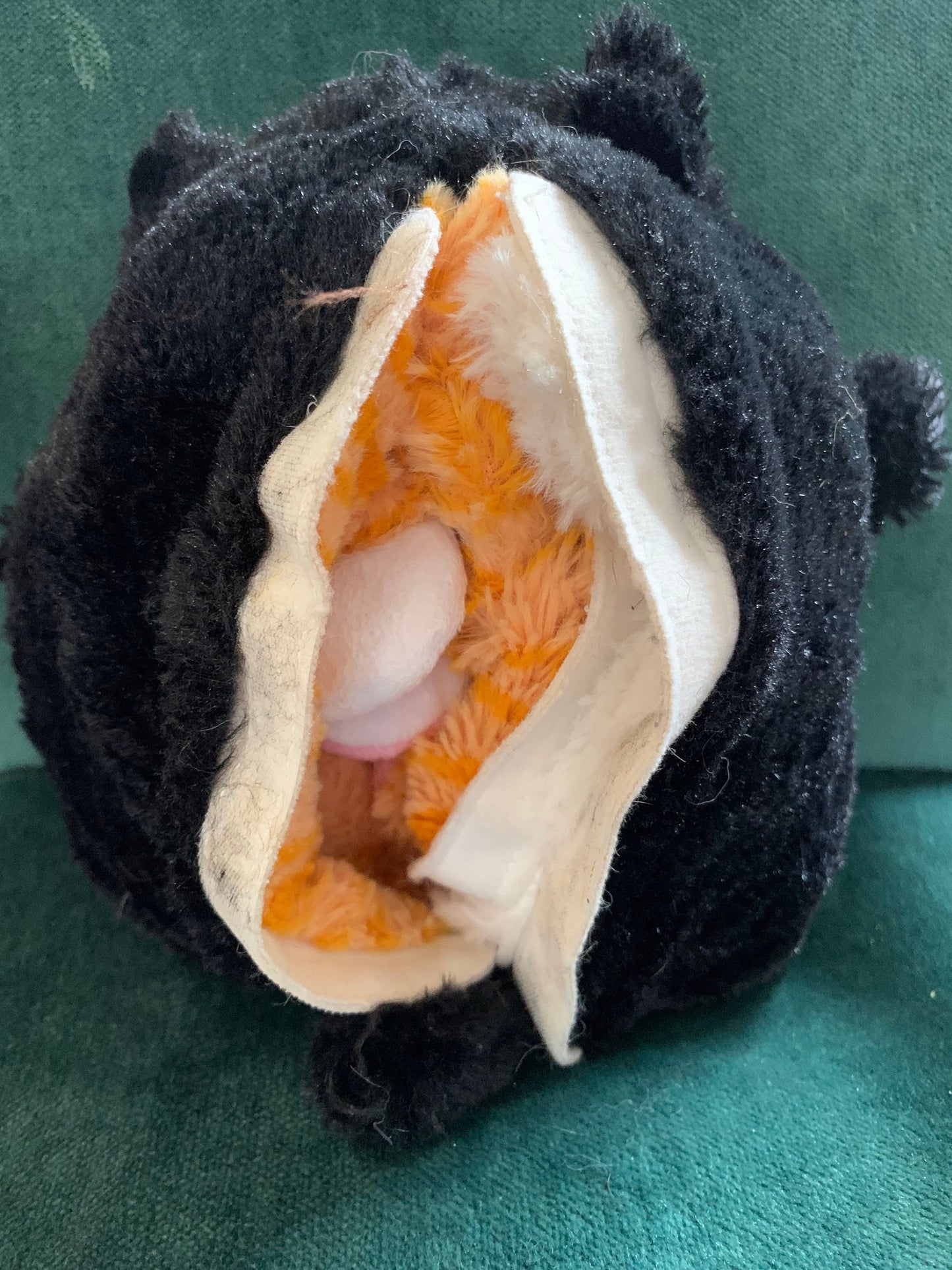 Pop out Pets 3 Cat Plush