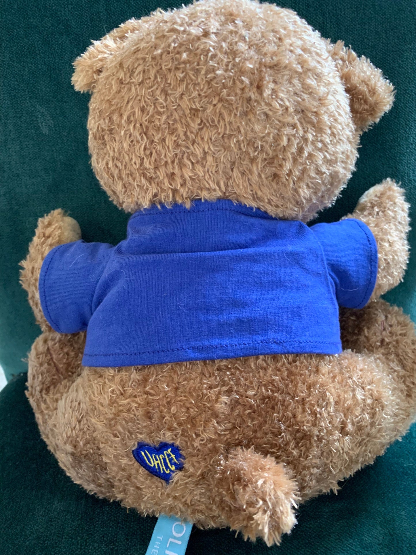 Oliver The Bear Uhccf Teddy Bear 12” Plush Soft Toy Stuffed Animal