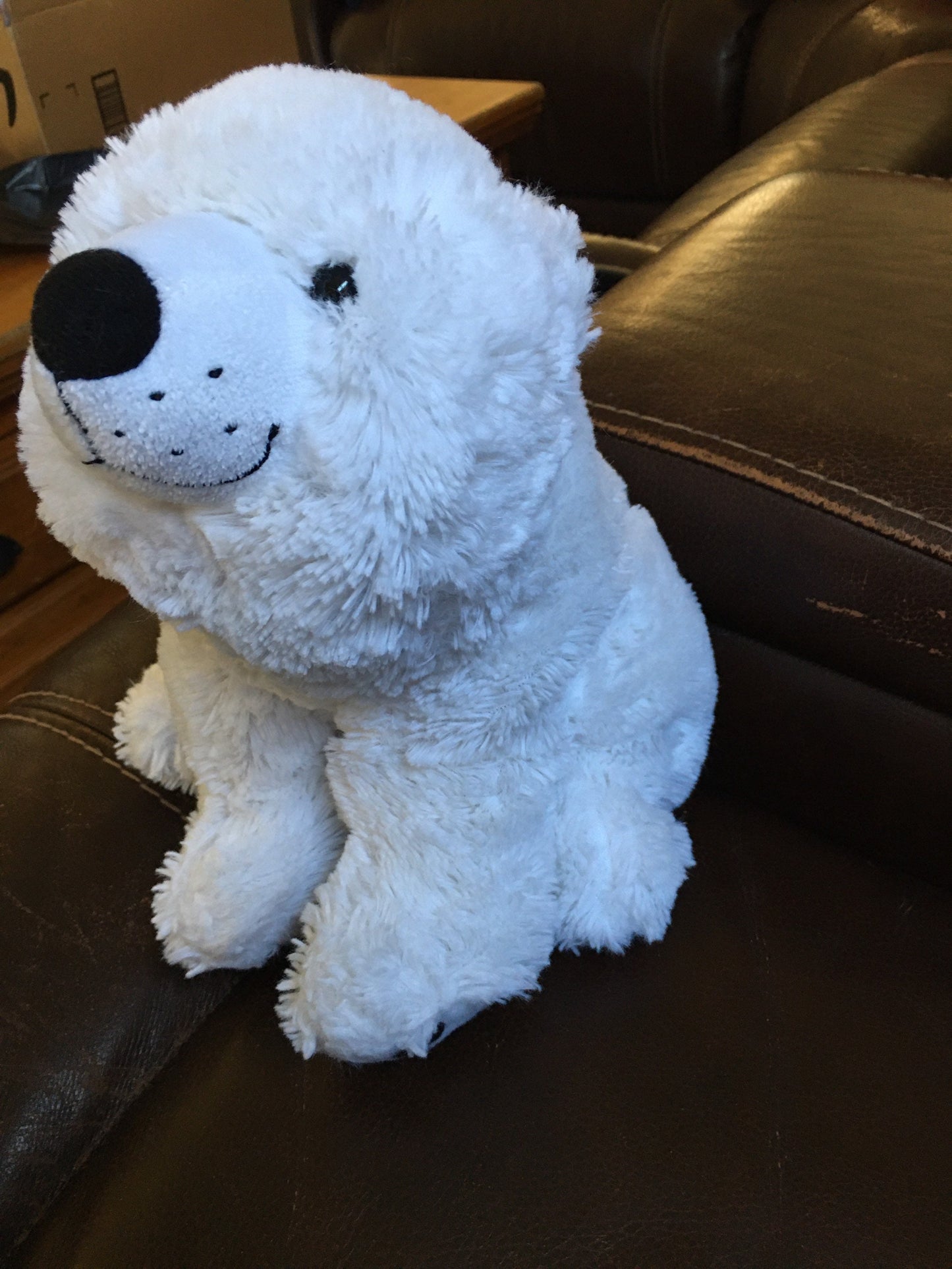 Kohls Cares Nancy Tillman White Polar Bear Plush