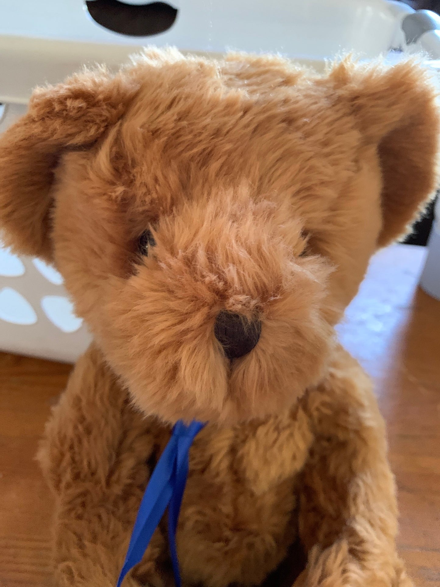 Russ Berrie Plush Brown Bear, Ritz Camera Exclusive