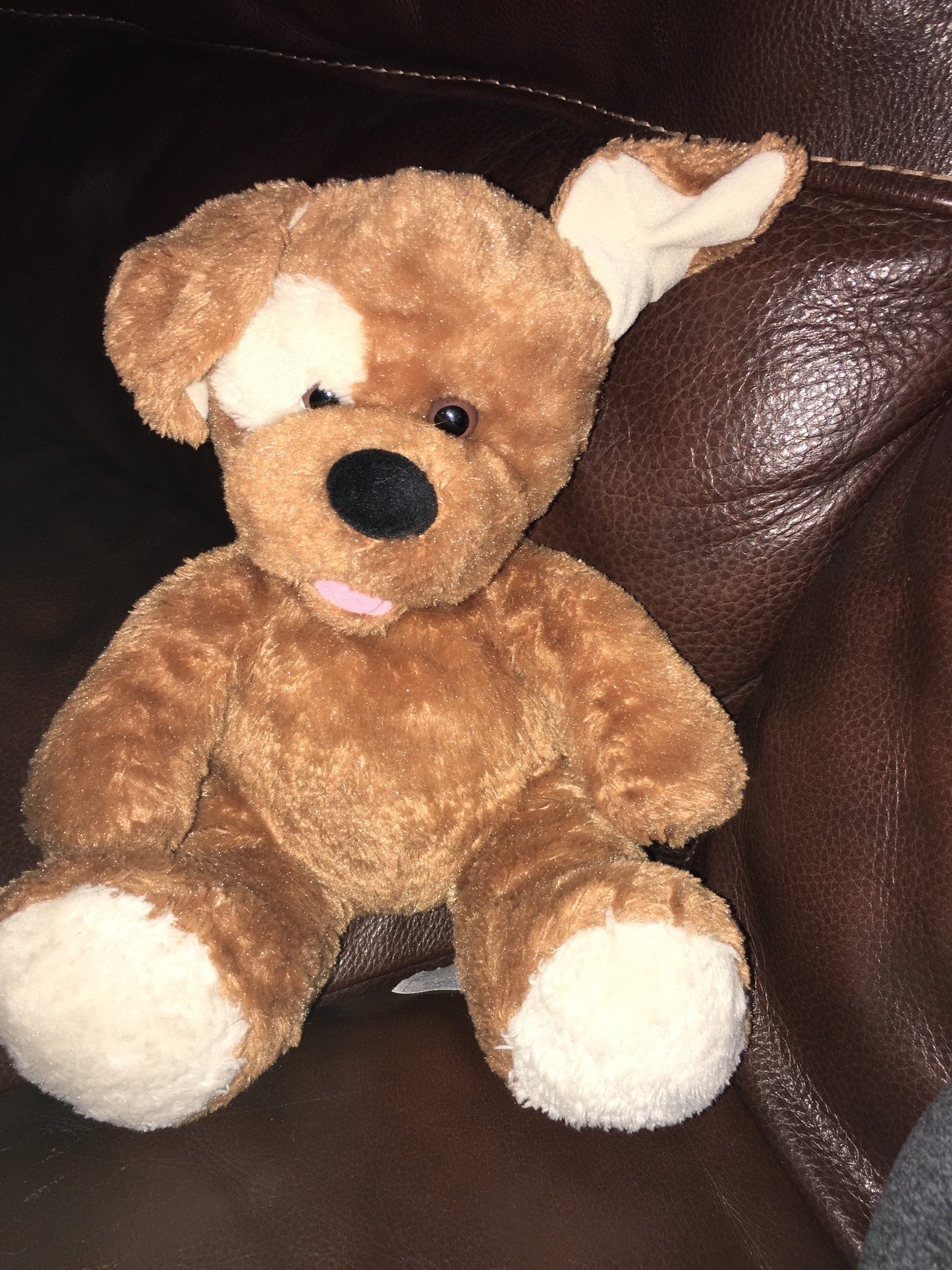 Build A Bear Brown Sugar Brown Puppy Dog White Eye Patch 15” Retired