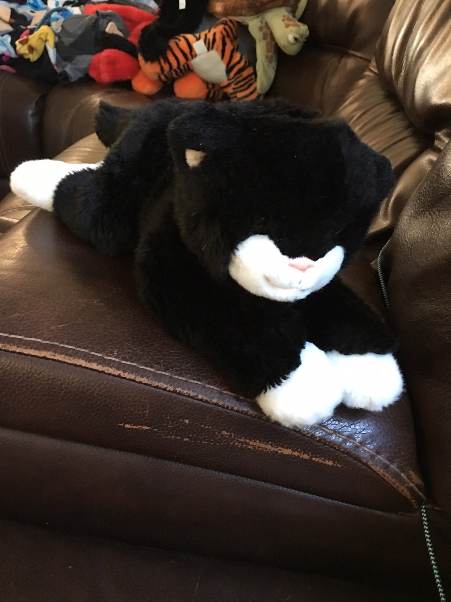 Gund Scoopers Plush Kitten Cat Black/white Stuffed Animal Toy 12”