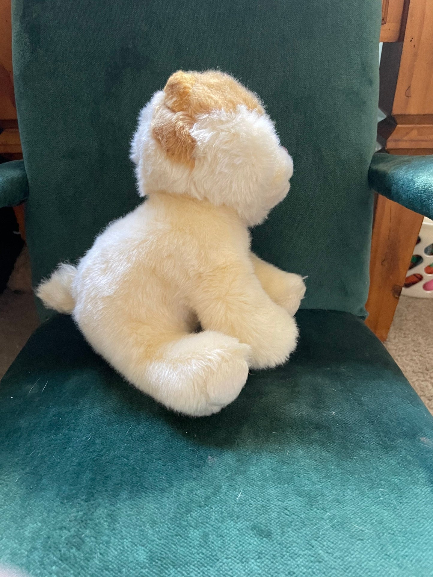 Gund Boo the Pomeranian Plush. Excellent Condition