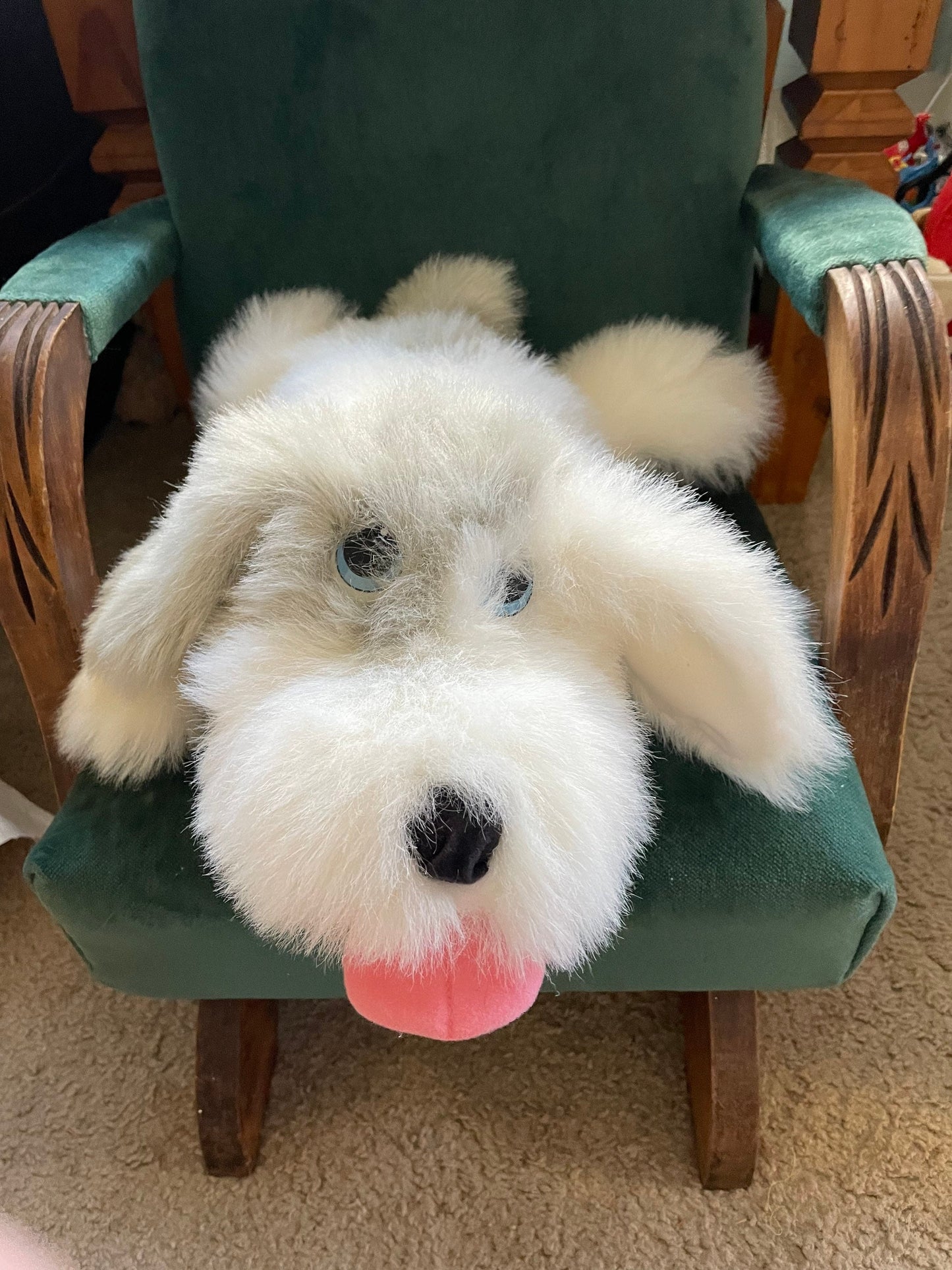 Smoochie Pooch 1998