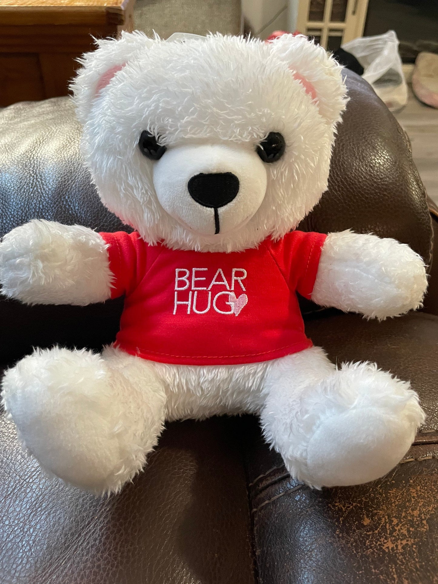 Hallmark Hug Me Teddy Bear Plush Stuffed Animal Pal