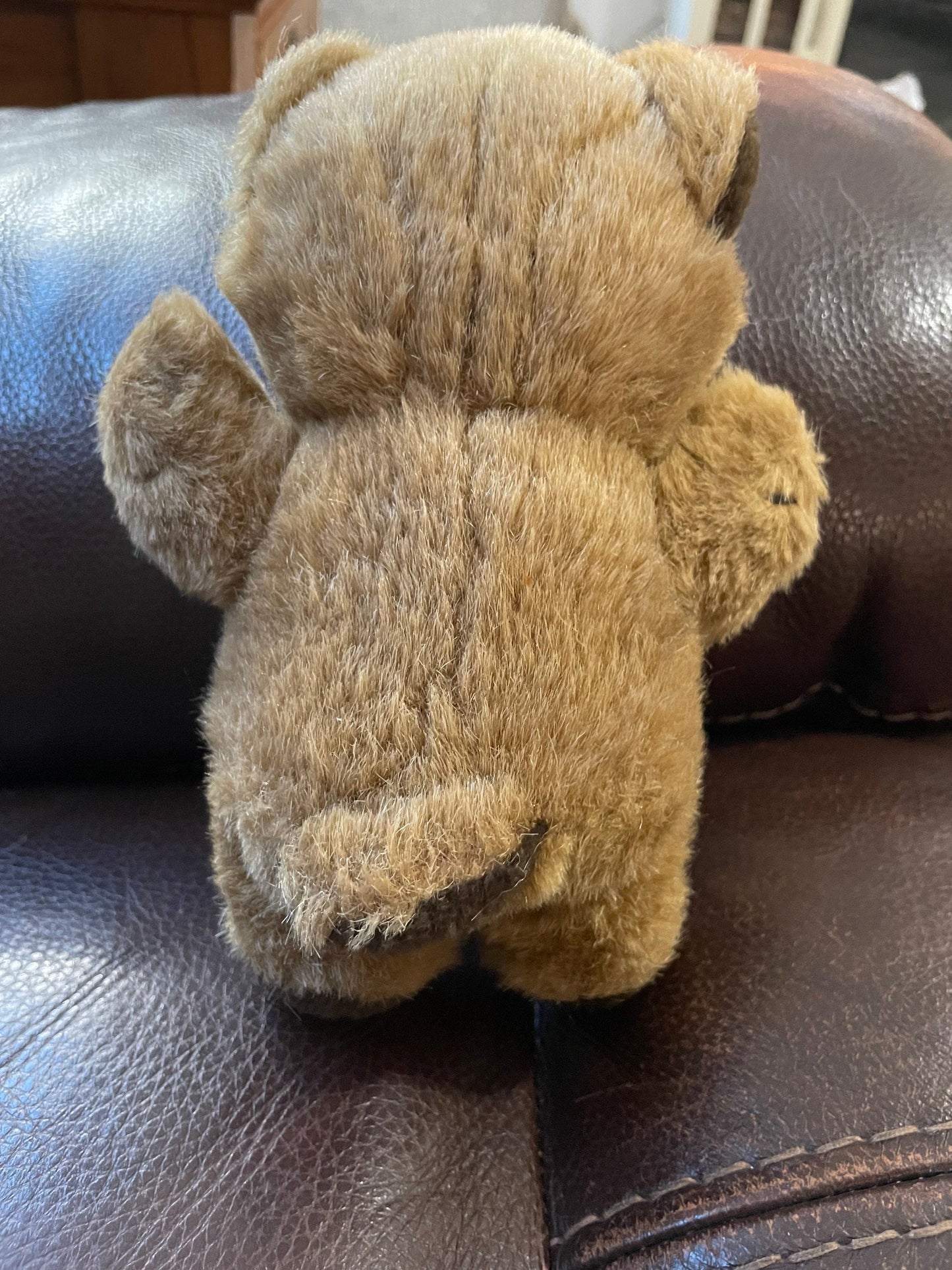 Small Brown Bear Plush