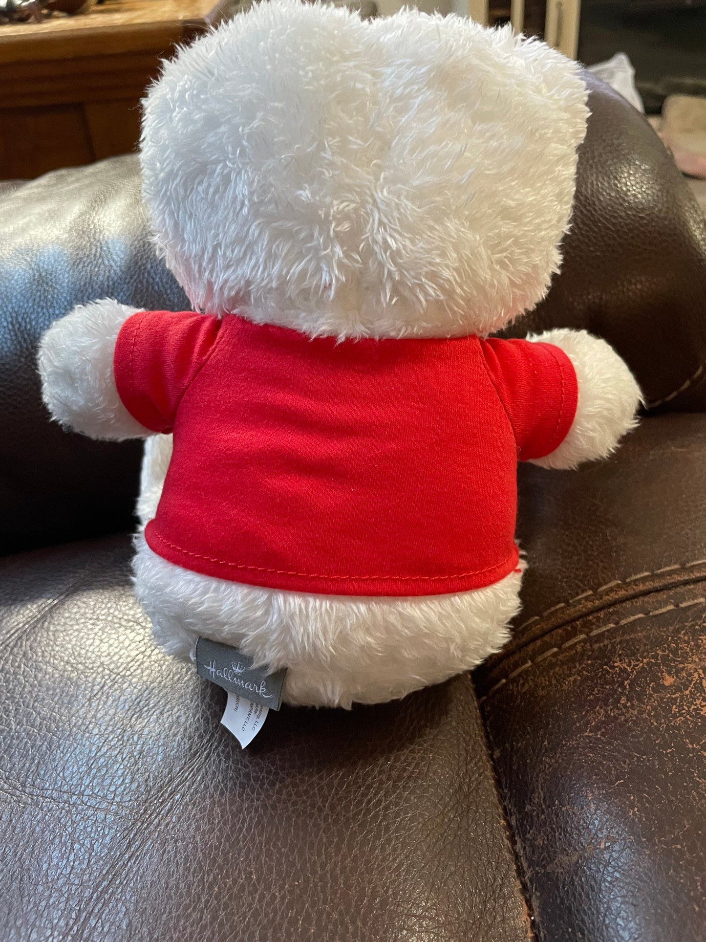 Hallmark Hug Me Teddy Bear Plush Stuffed Animal Pal