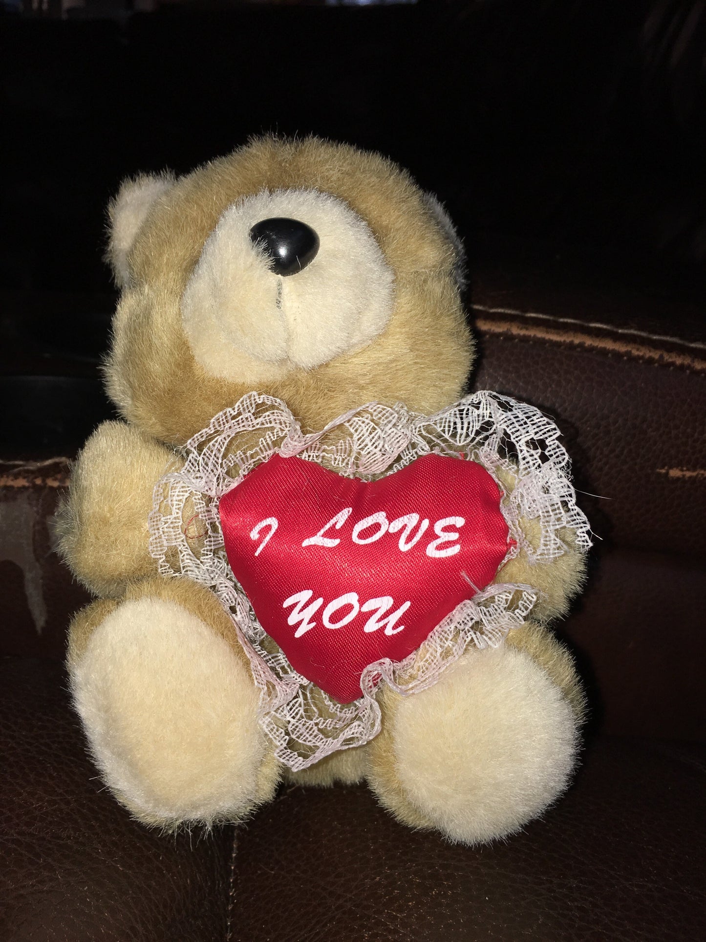Brown Teddy Bear Plush with I Love You Heart