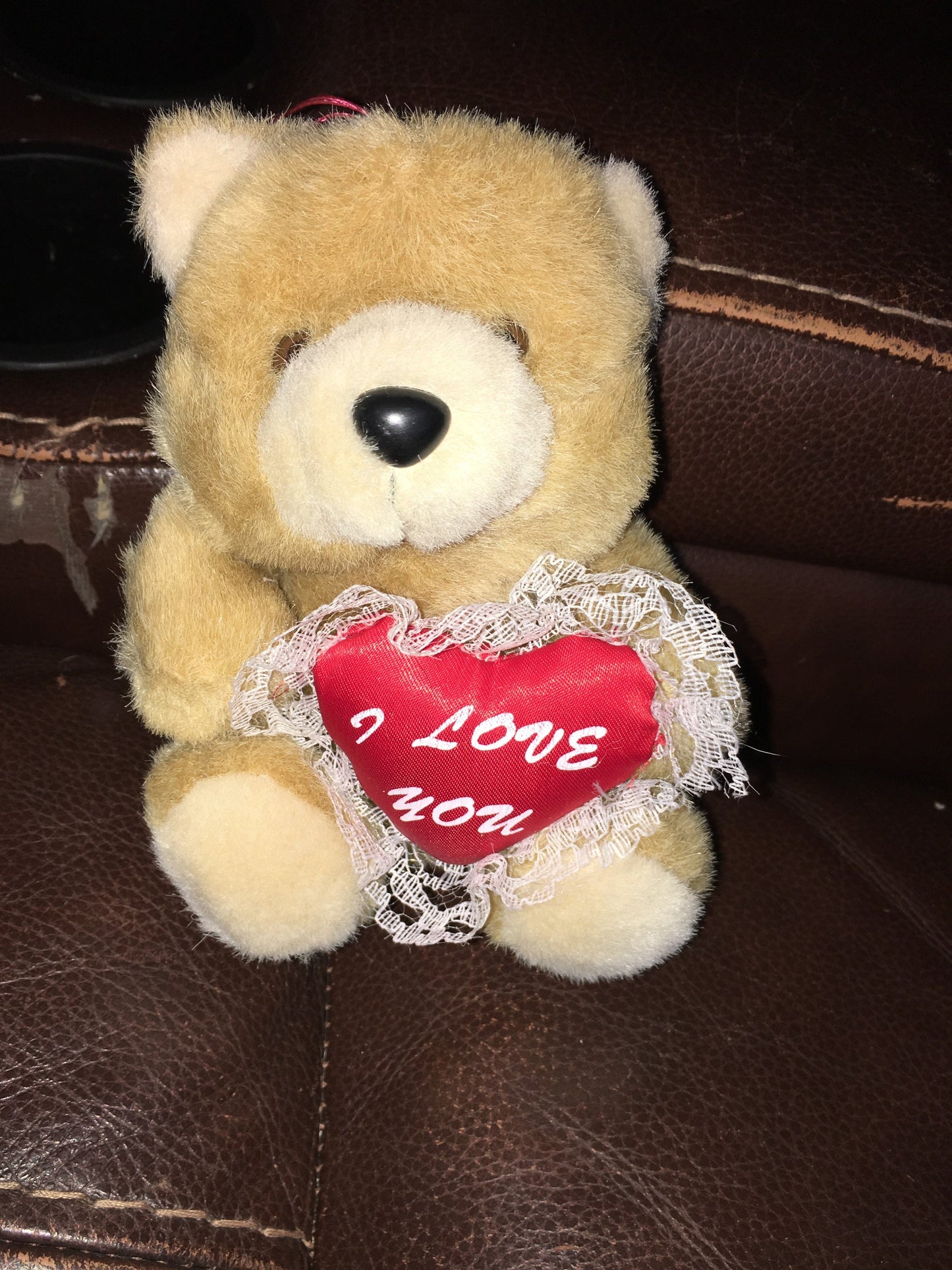 Brown Teddy Bear Plush with I Love You Heart