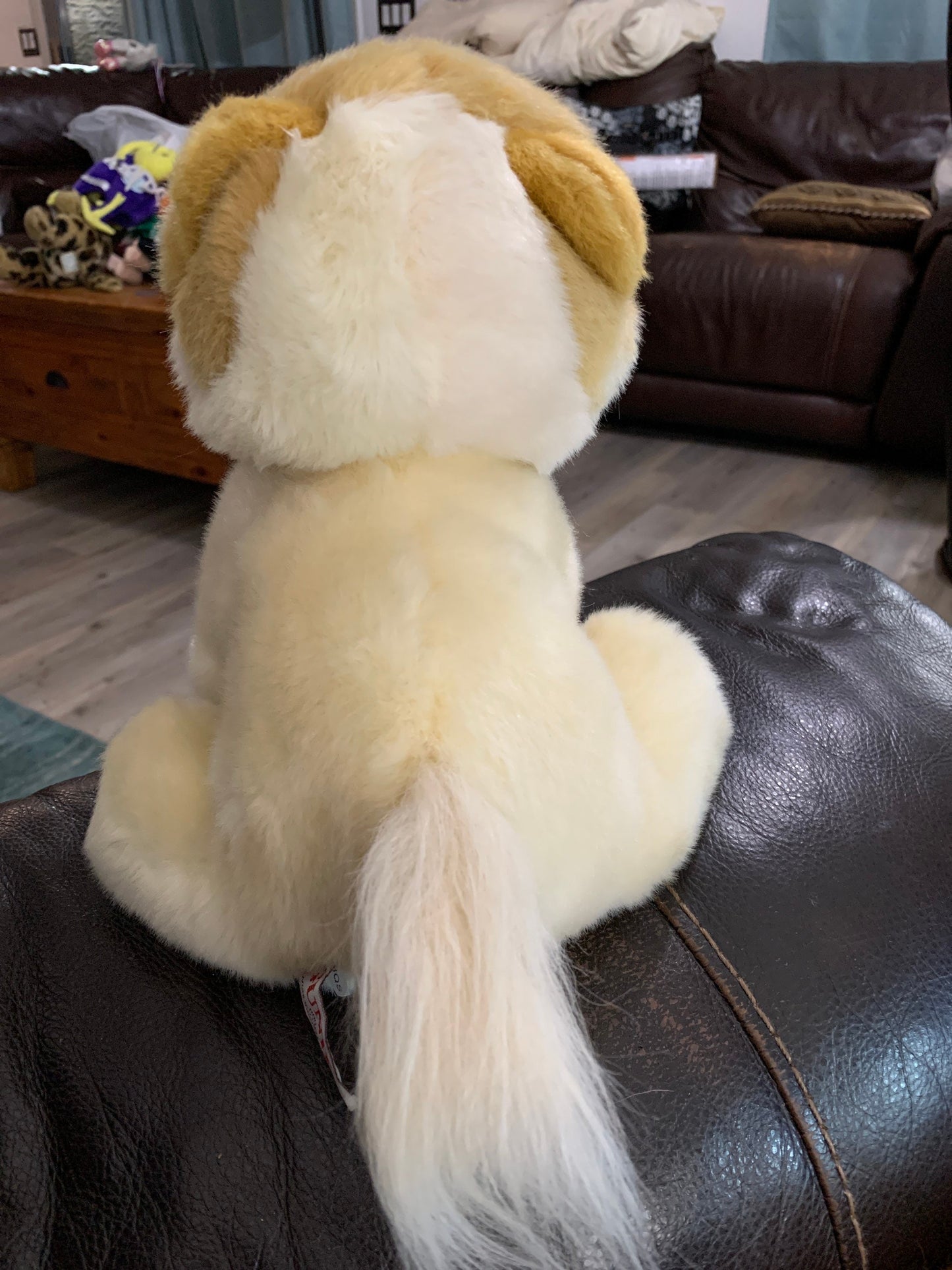 Gund Beige And Tan Boo The Pomeranian Puppy Dog Plush