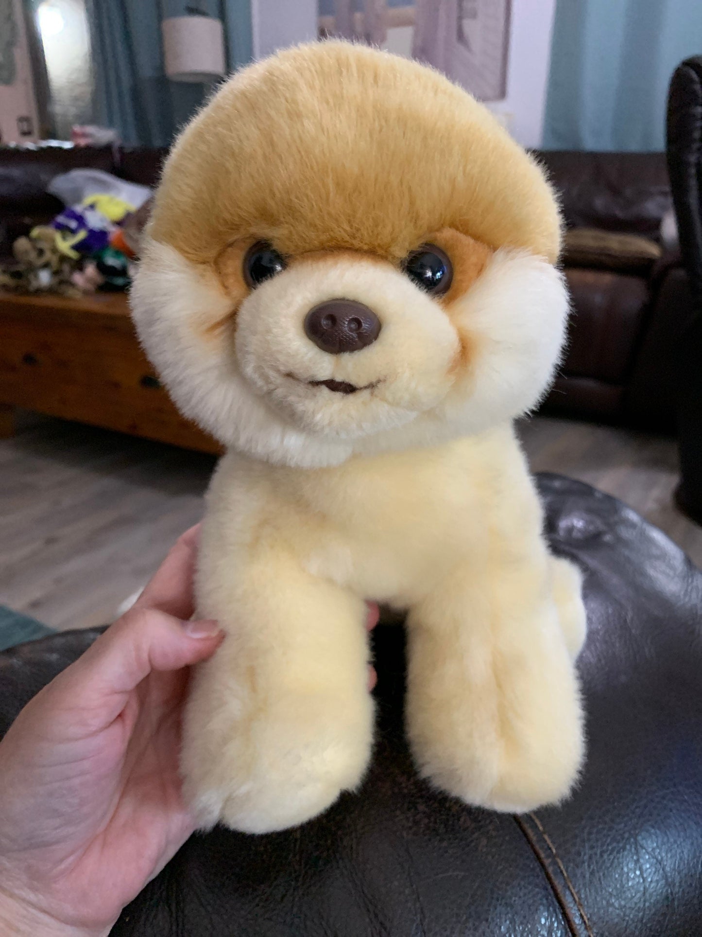 Gund Beige And Tan Boo The Pomeranian Puppy Dog Plush