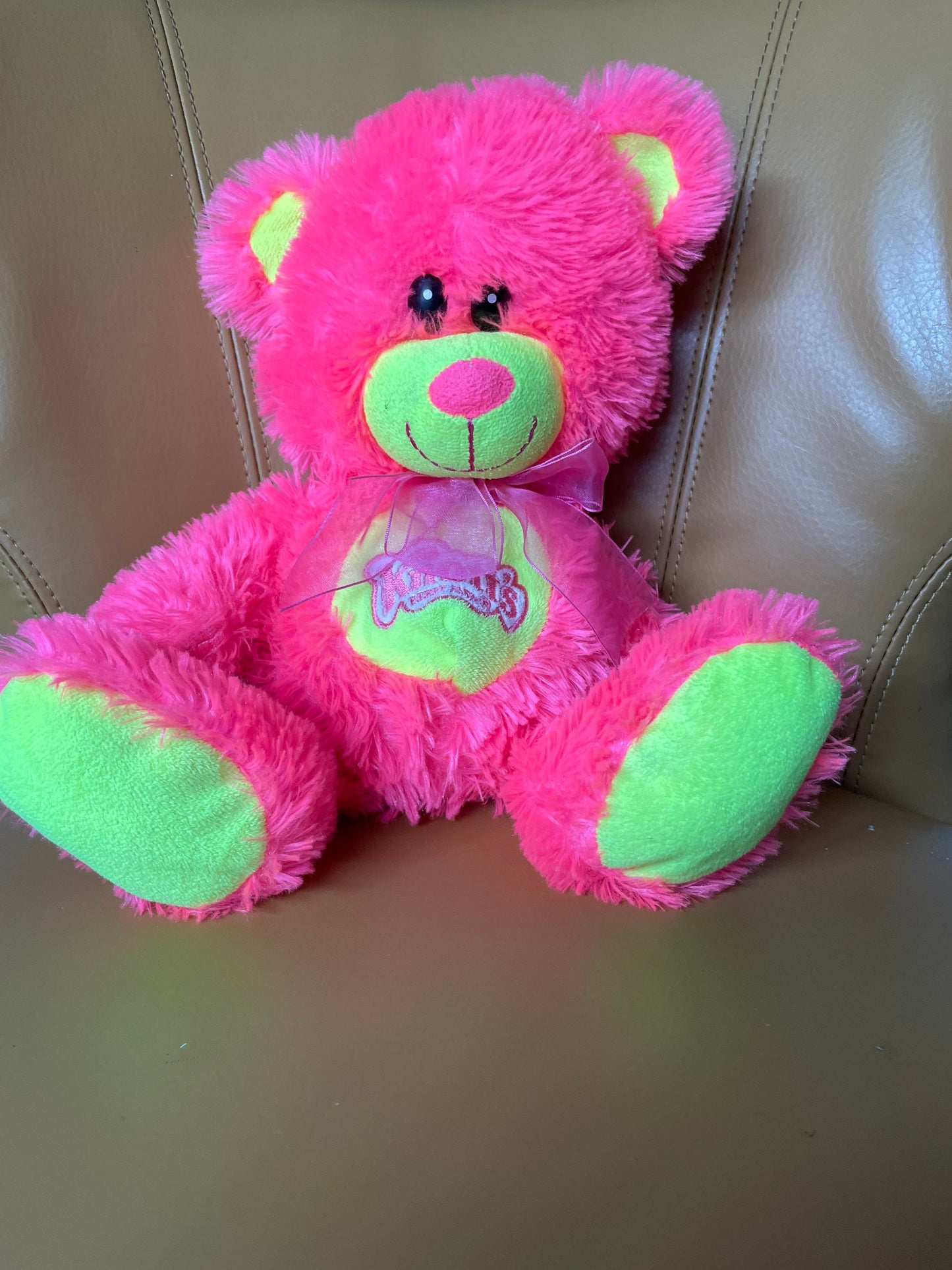 Knott’s Berry Farm Pink Teddy Bear