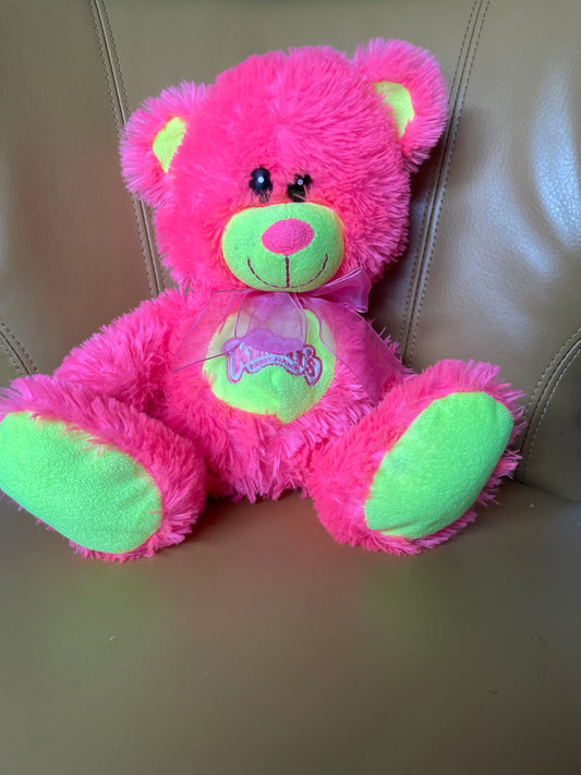 Knott’s Berry Farm Pink Teddy Bear