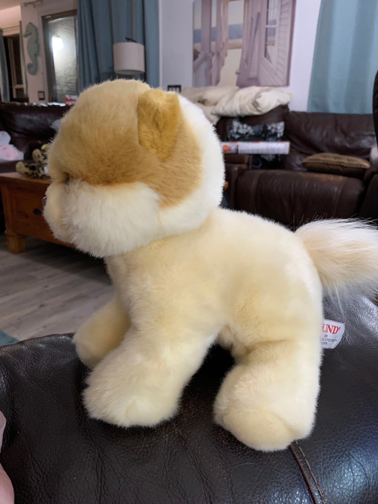 Gund Beige And Tan Boo The Pomeranian Puppy Dog Plush