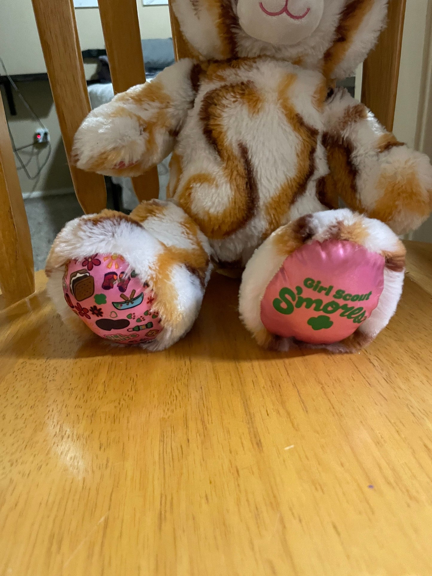 Build A Bear S’mores Caramel Swirls Girl Scouts Teddy Bear Plush