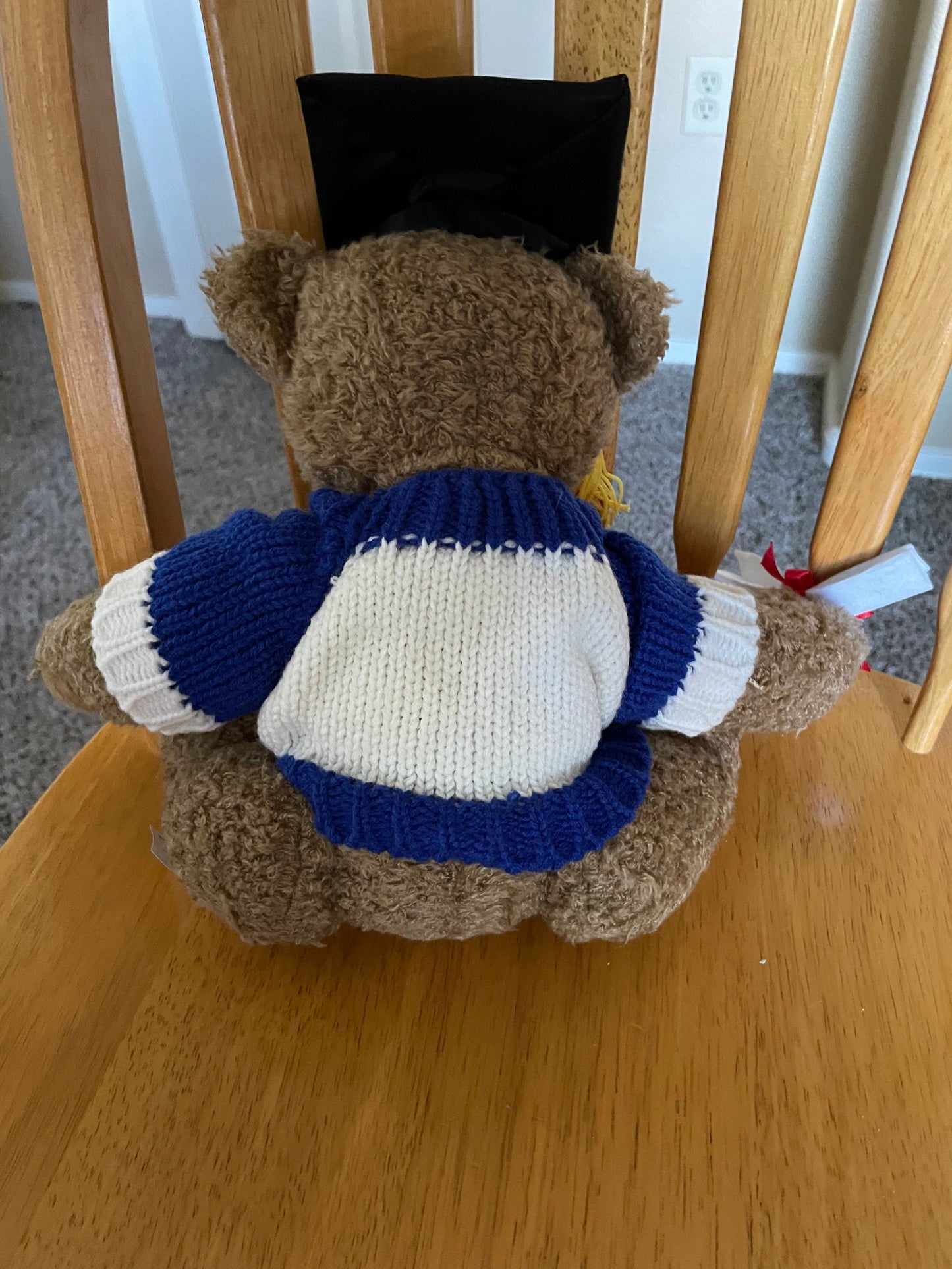 2008 Graduation Teddy Bear Plush