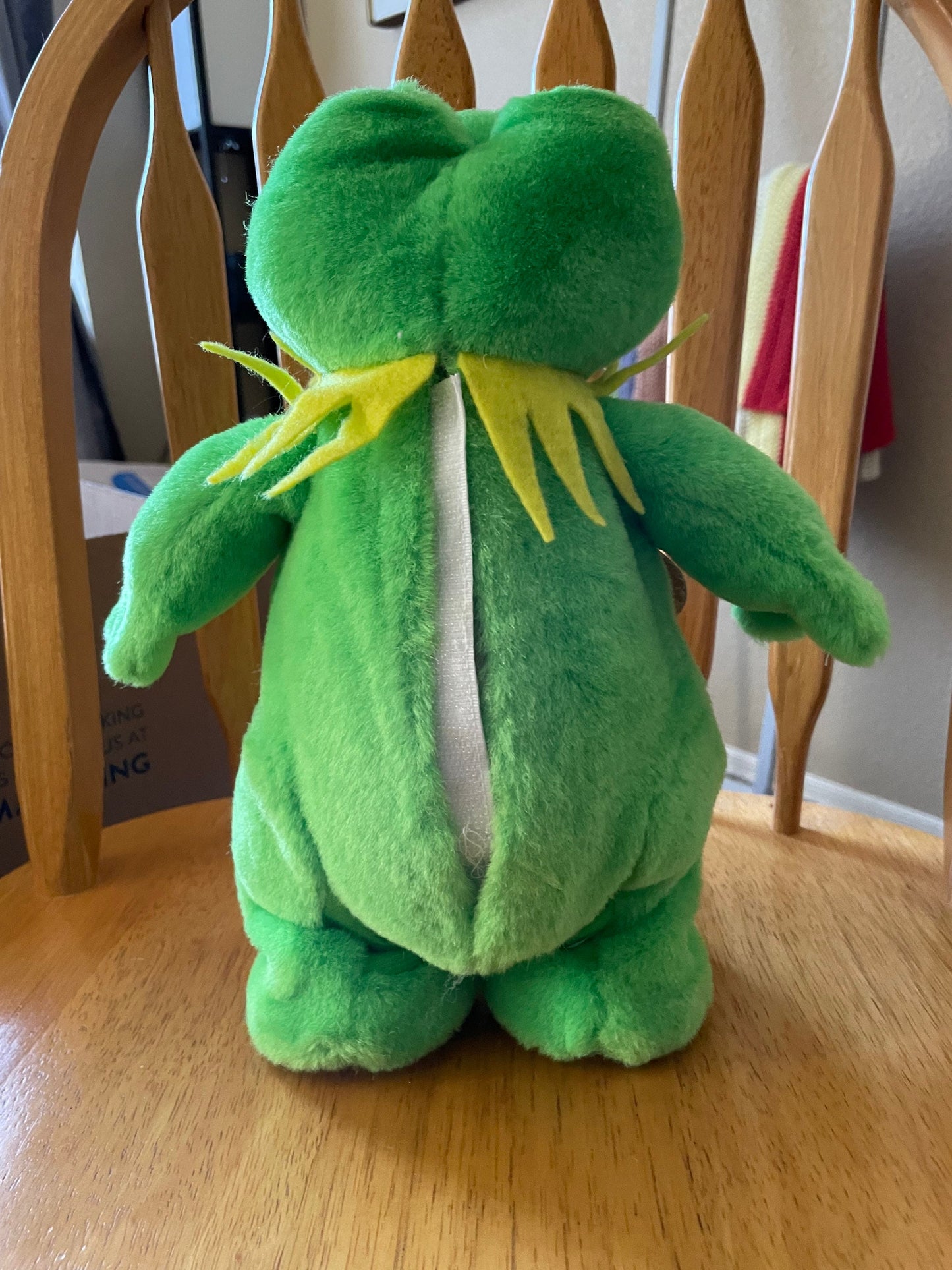Standing Talking and Singing Frog Plush - Unsure of Brand