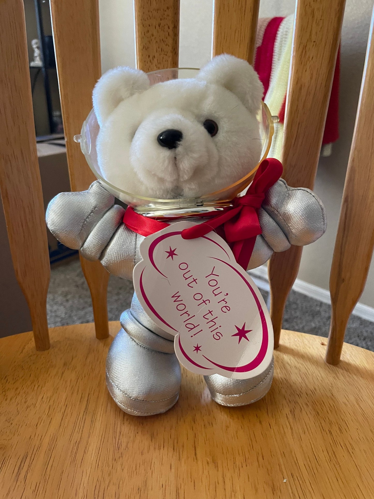 Teddy Bear Astronaut Plush – Missing Helmet Front