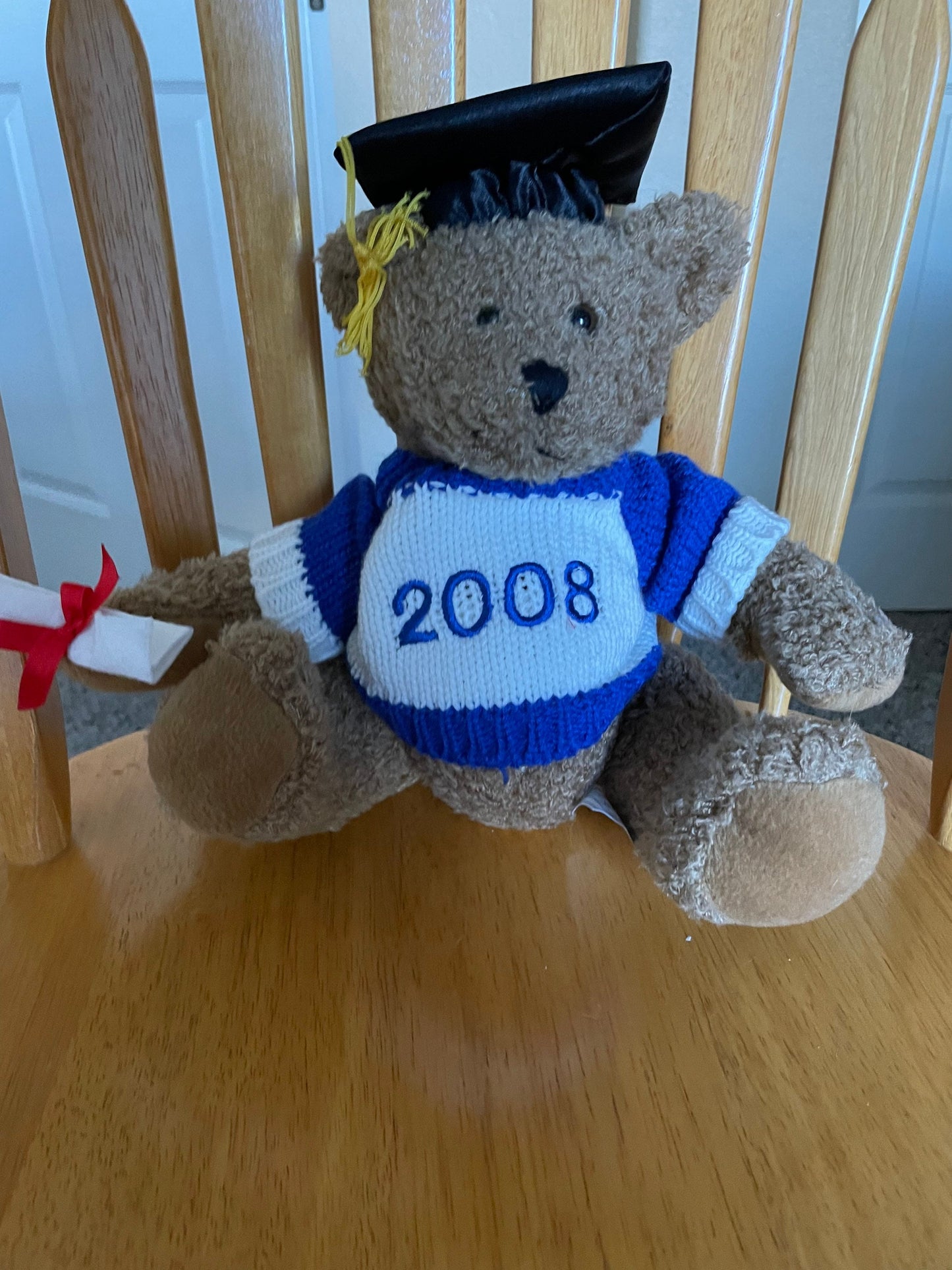 2008 Graduation Teddy Bear Plush