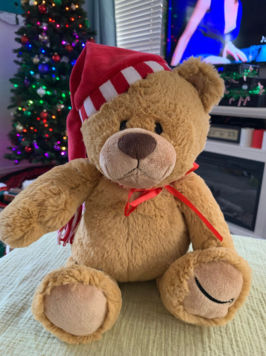 Gund Amazon Holiday Christmas Santa Teddy bear plush 13”