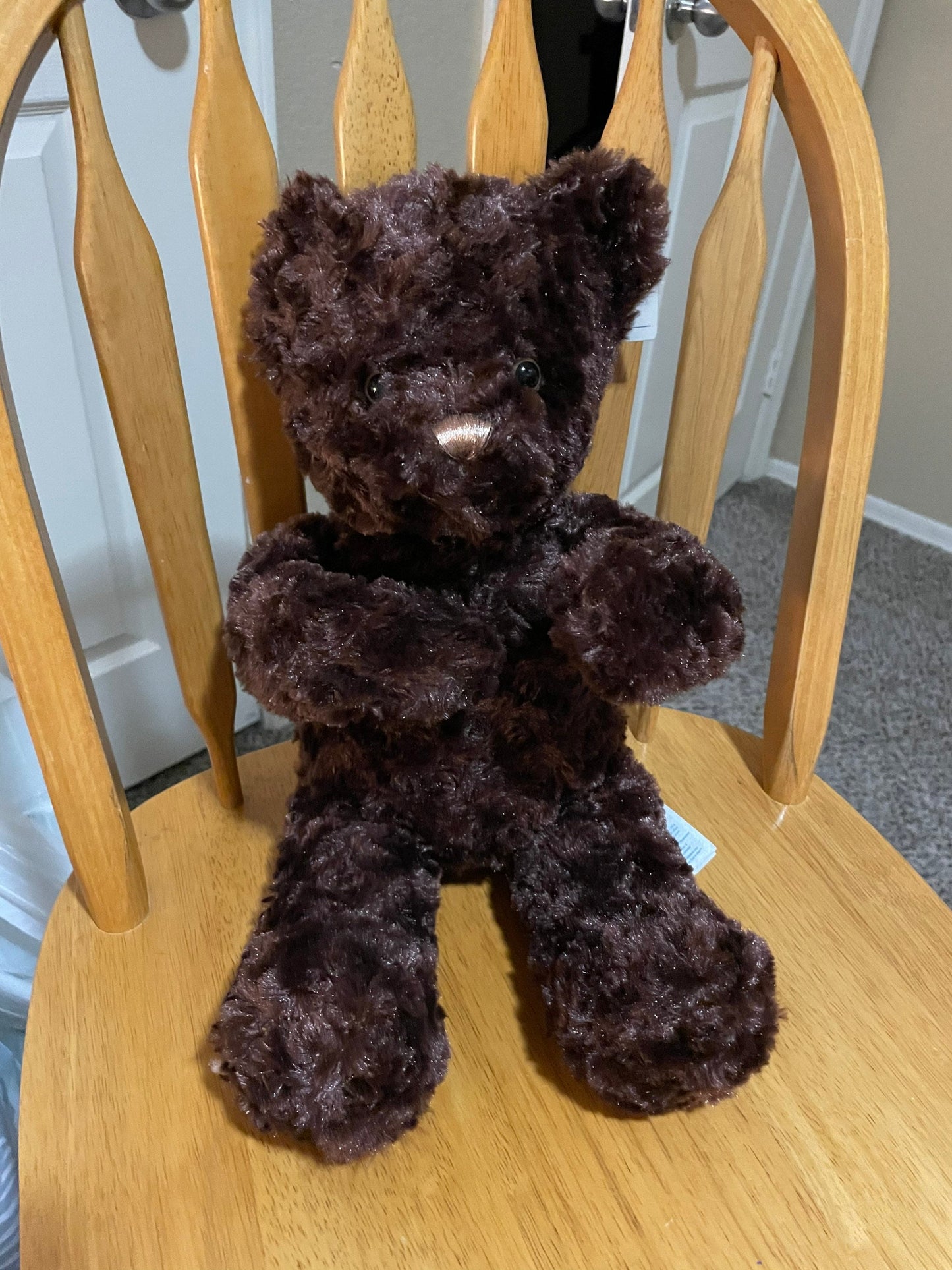 Build A Bear Dark Brown Curly Haired Teddy Bear Plush with Posable Arms